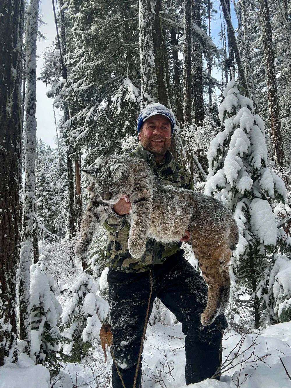 Idaho Whitetail Guides Bobcat Hunts