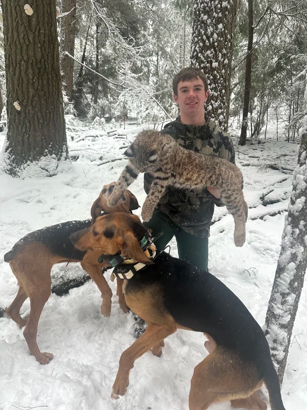 Idaho Whitetail Guides Bobcat Hunts