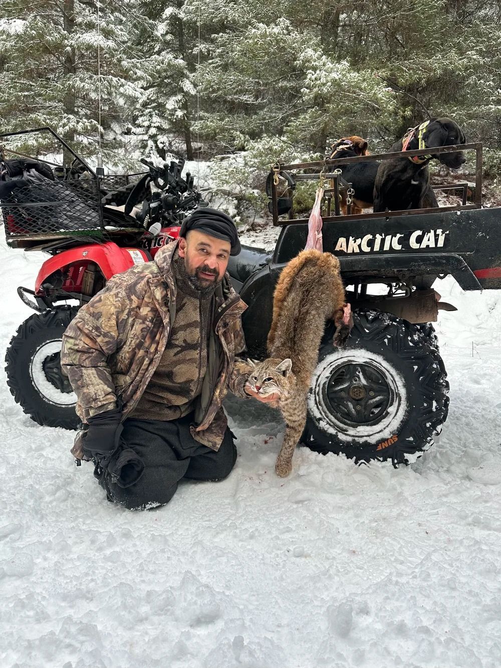 Idaho Whitetail Guides Bobcat Hunts