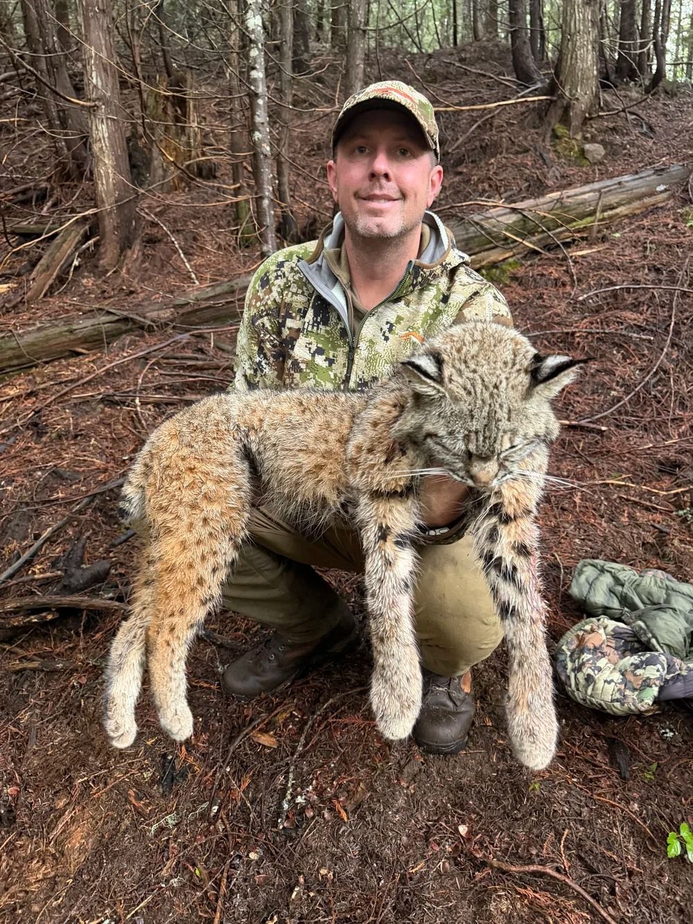 Idaho Whitetail Guides Bobcat Hunts