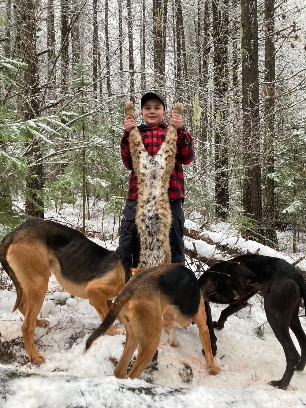 Idaho Whitetail Guides Bobcat Hunts