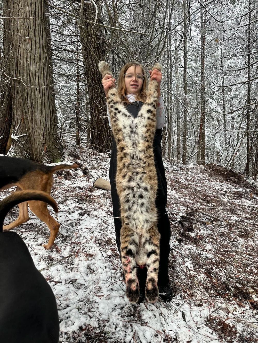 Idaho Whitetail Guides Bobcat Hunts