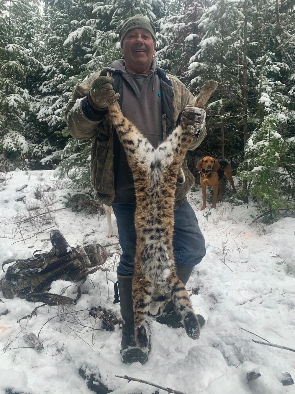 Idaho Whitetail Guides Bobcat Hunts