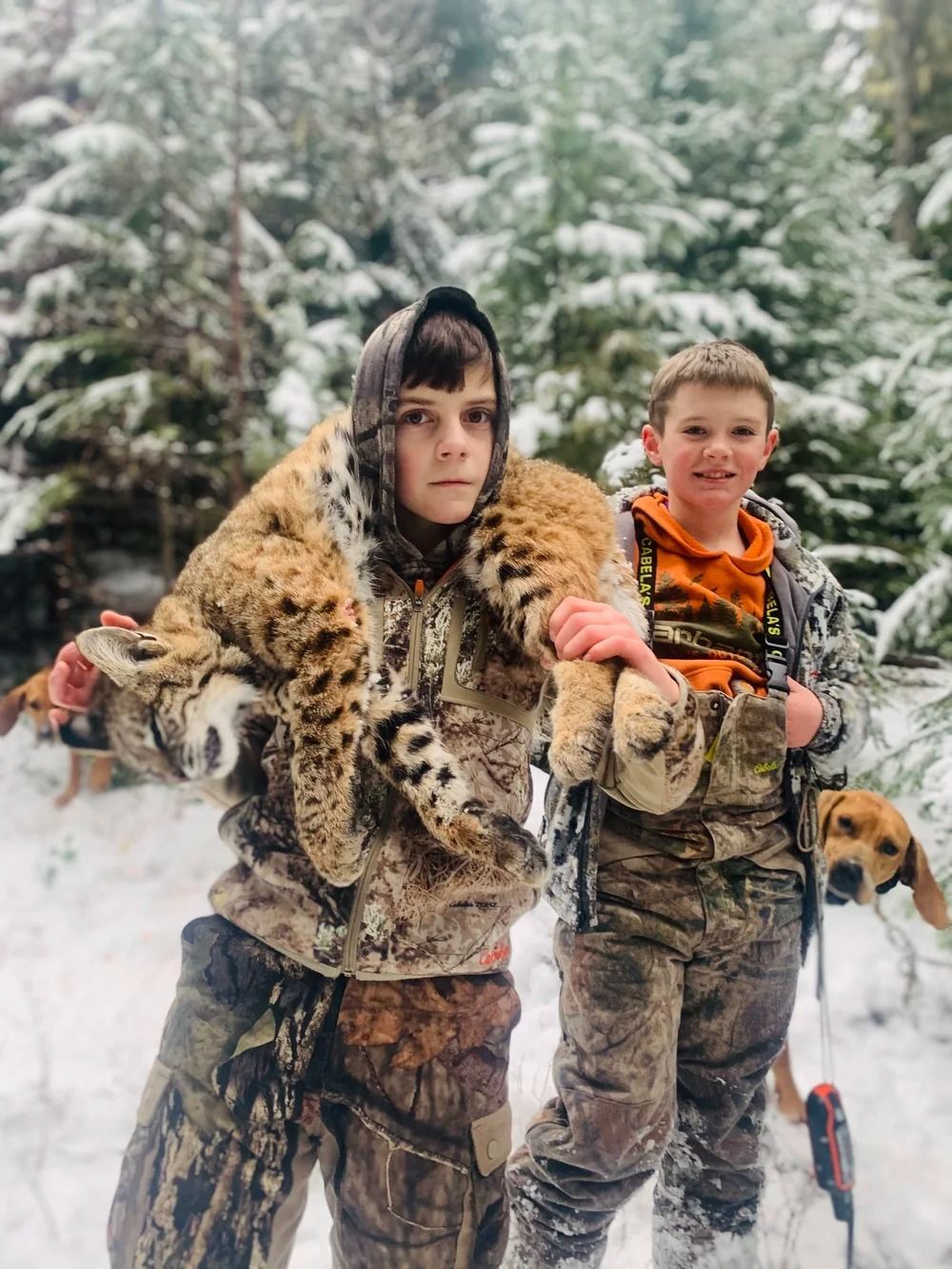 Idaho Whitetail Guides Bobcat Hunts
