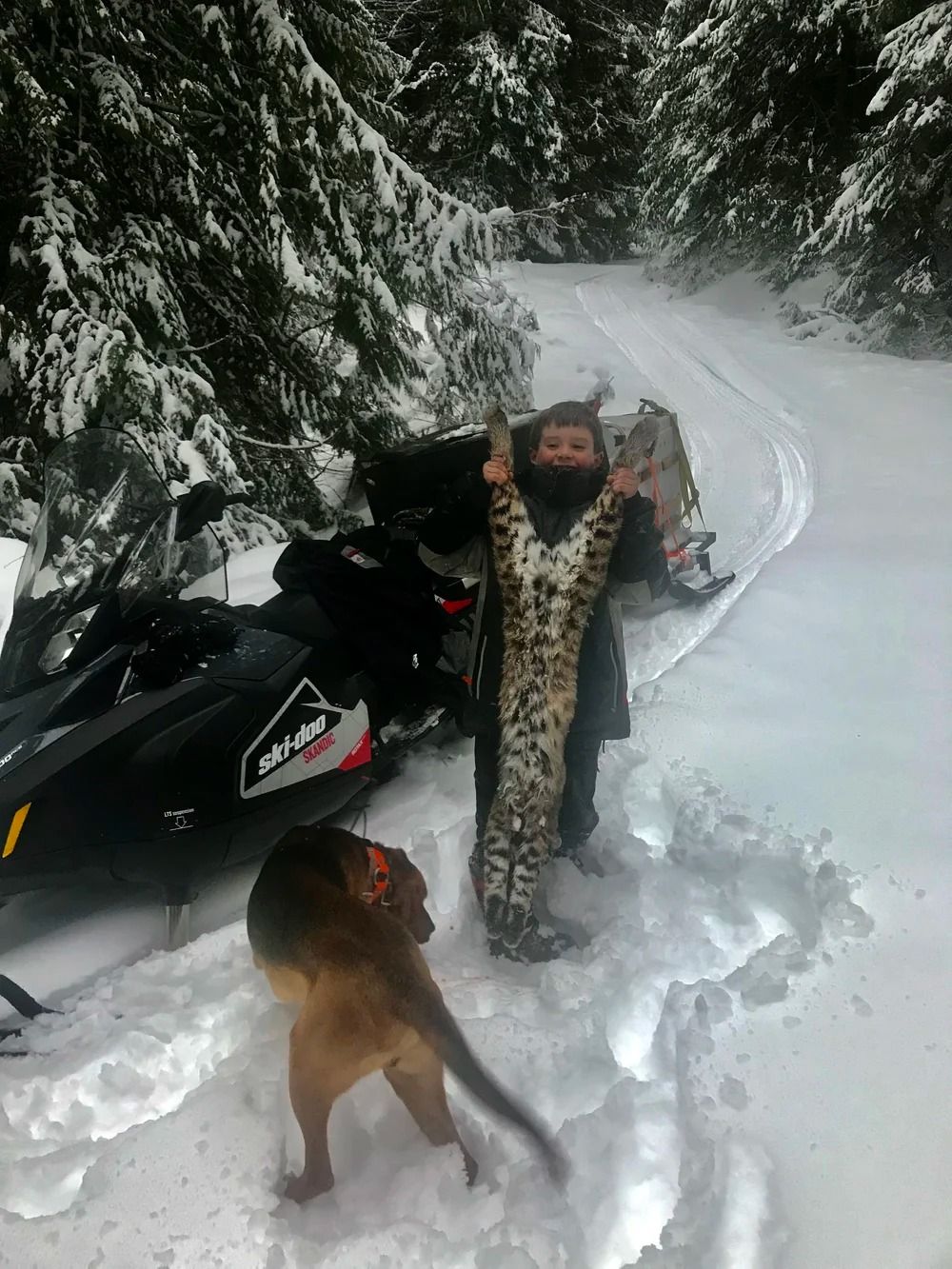 Idaho Whitetail Guides Bobcat Hunts