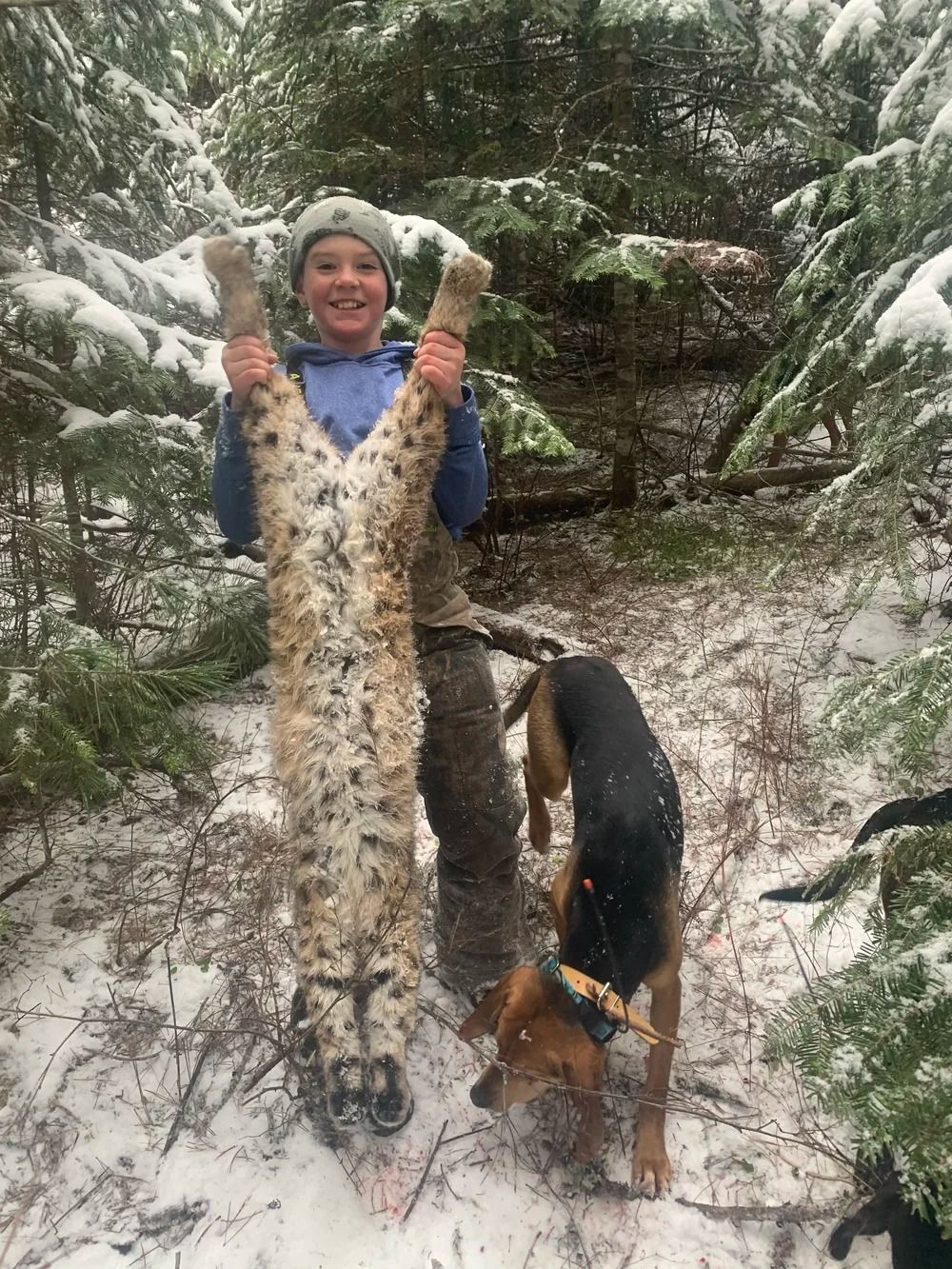 Idaho Whitetail Guides Bobcat Hunts