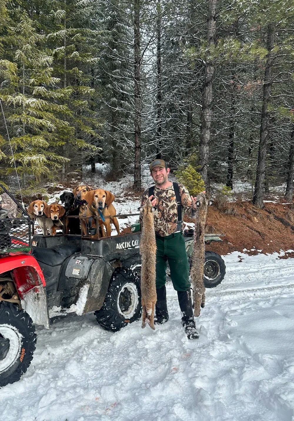 Idaho Whitetail Guides Bobcat Hunts