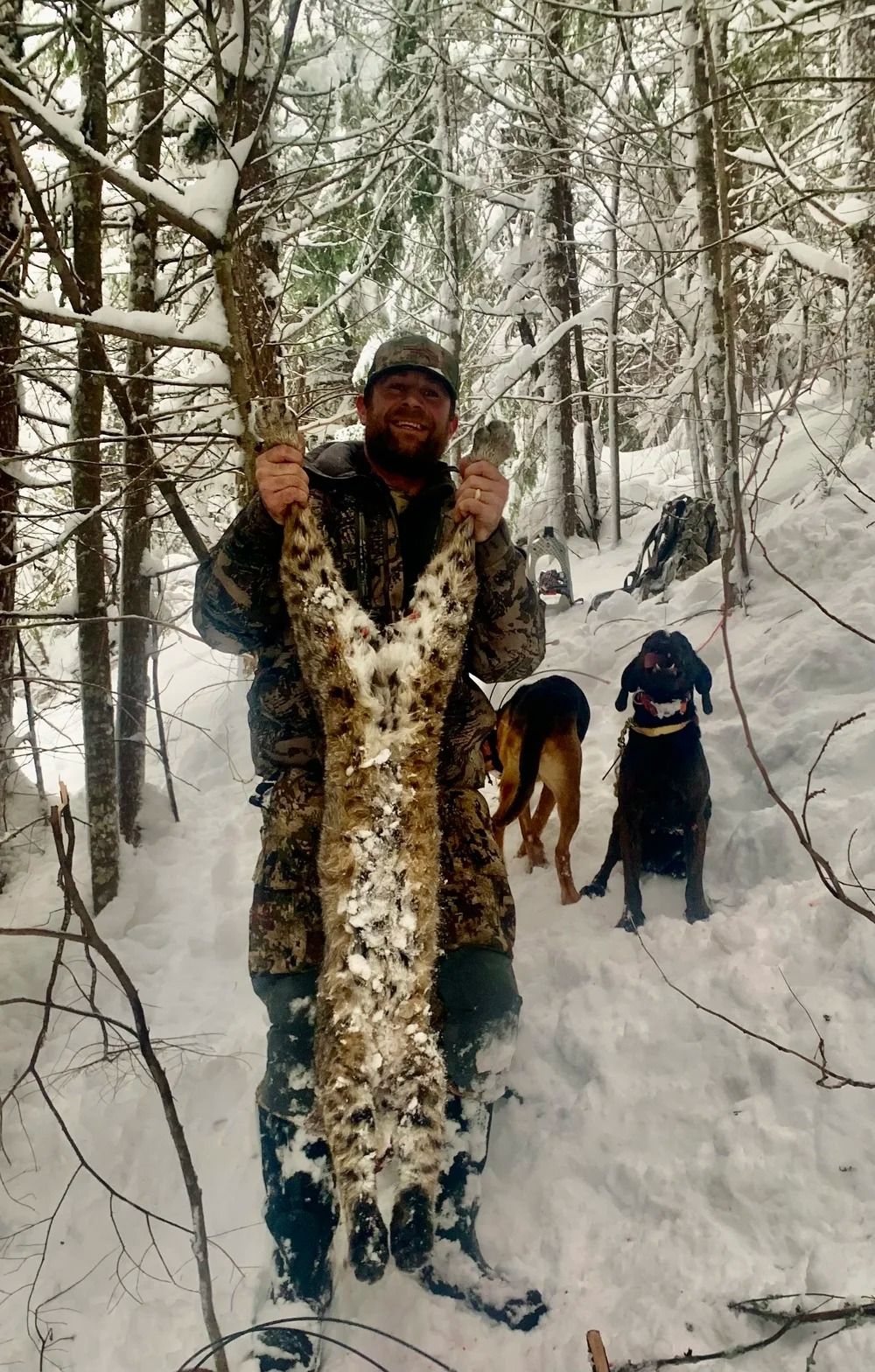 Idaho Whitetail Guides Bobcat Hunts