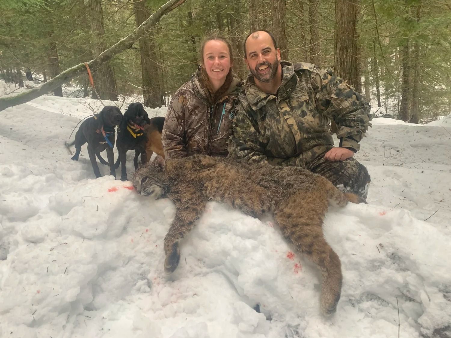 Idaho Whitetail Guides Bobcat Hunts