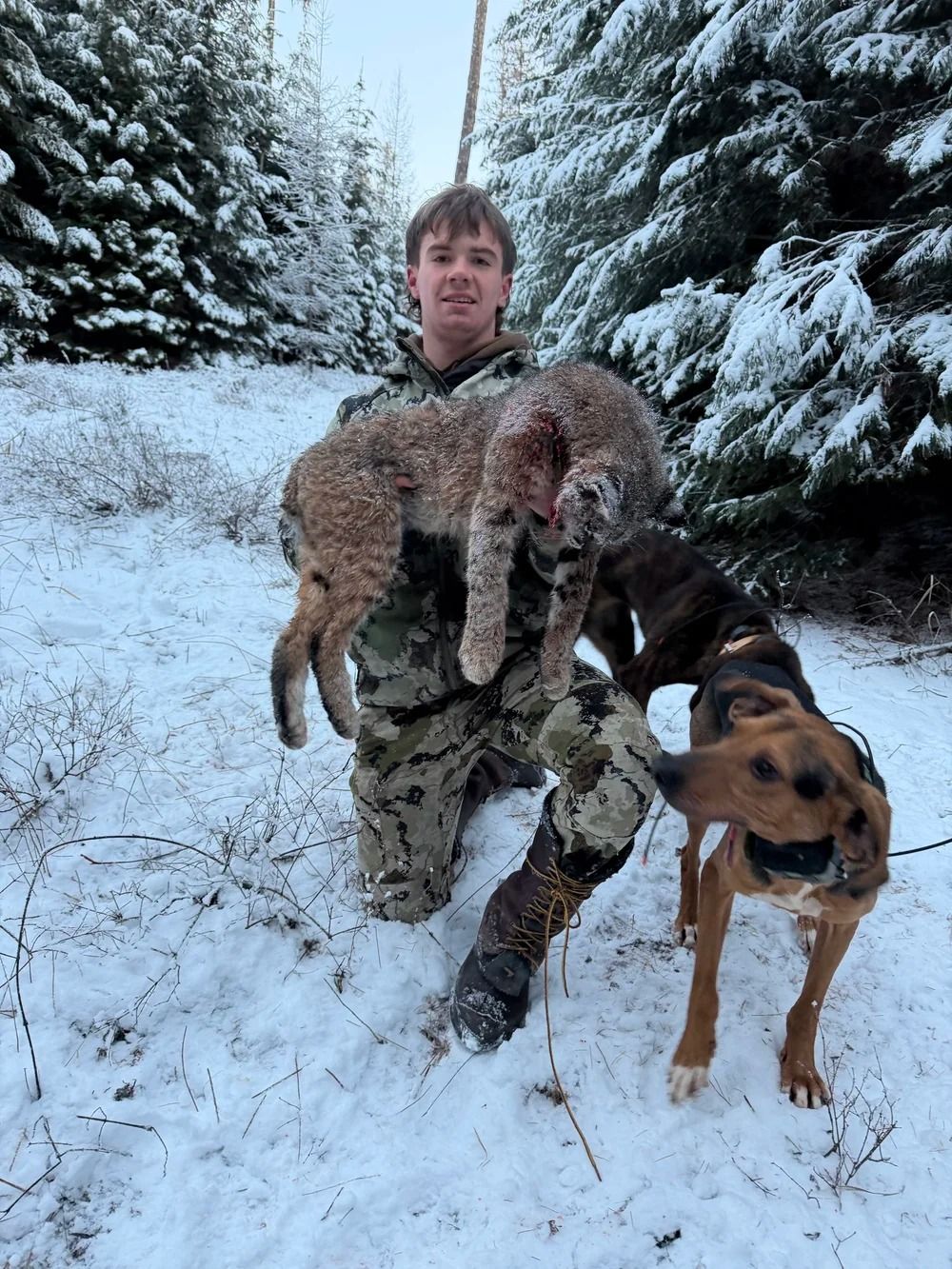 Idaho Whitetail Guides Bobcat Hunts