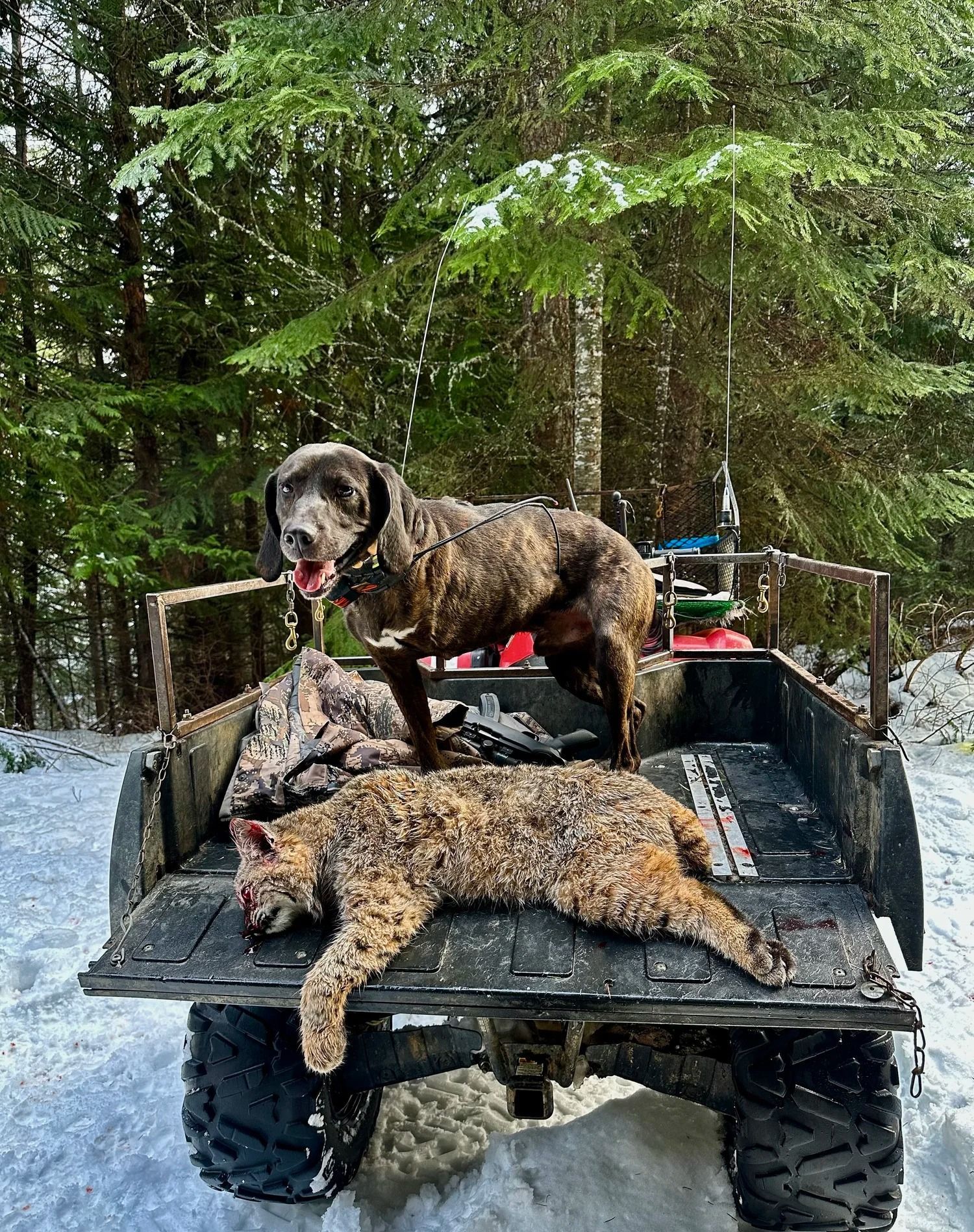 Idaho Whitetail Guides Deer Hunts