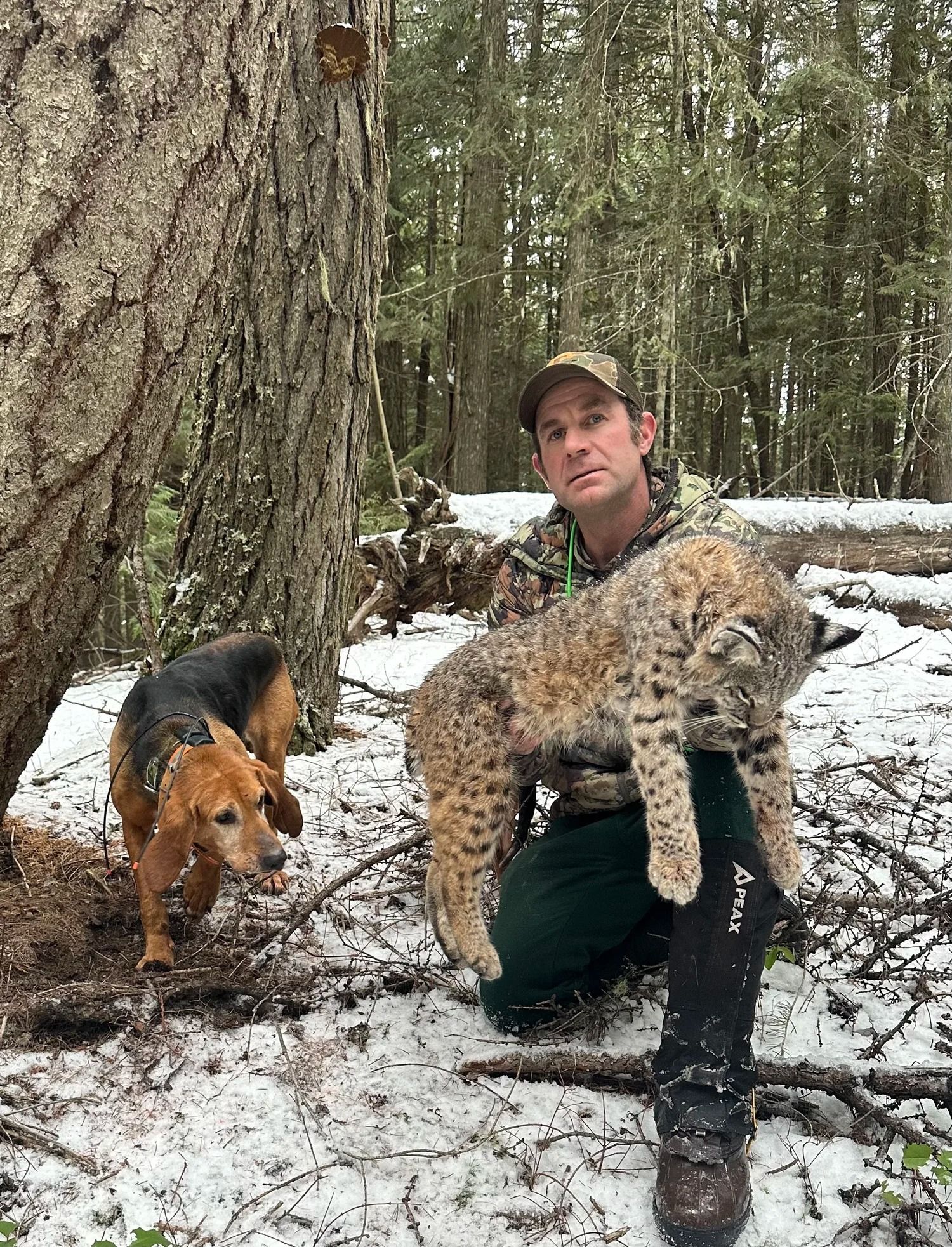 Idaho Whitetail Guides Deer HuntIdaho Whitetail Guides Deer Huntss