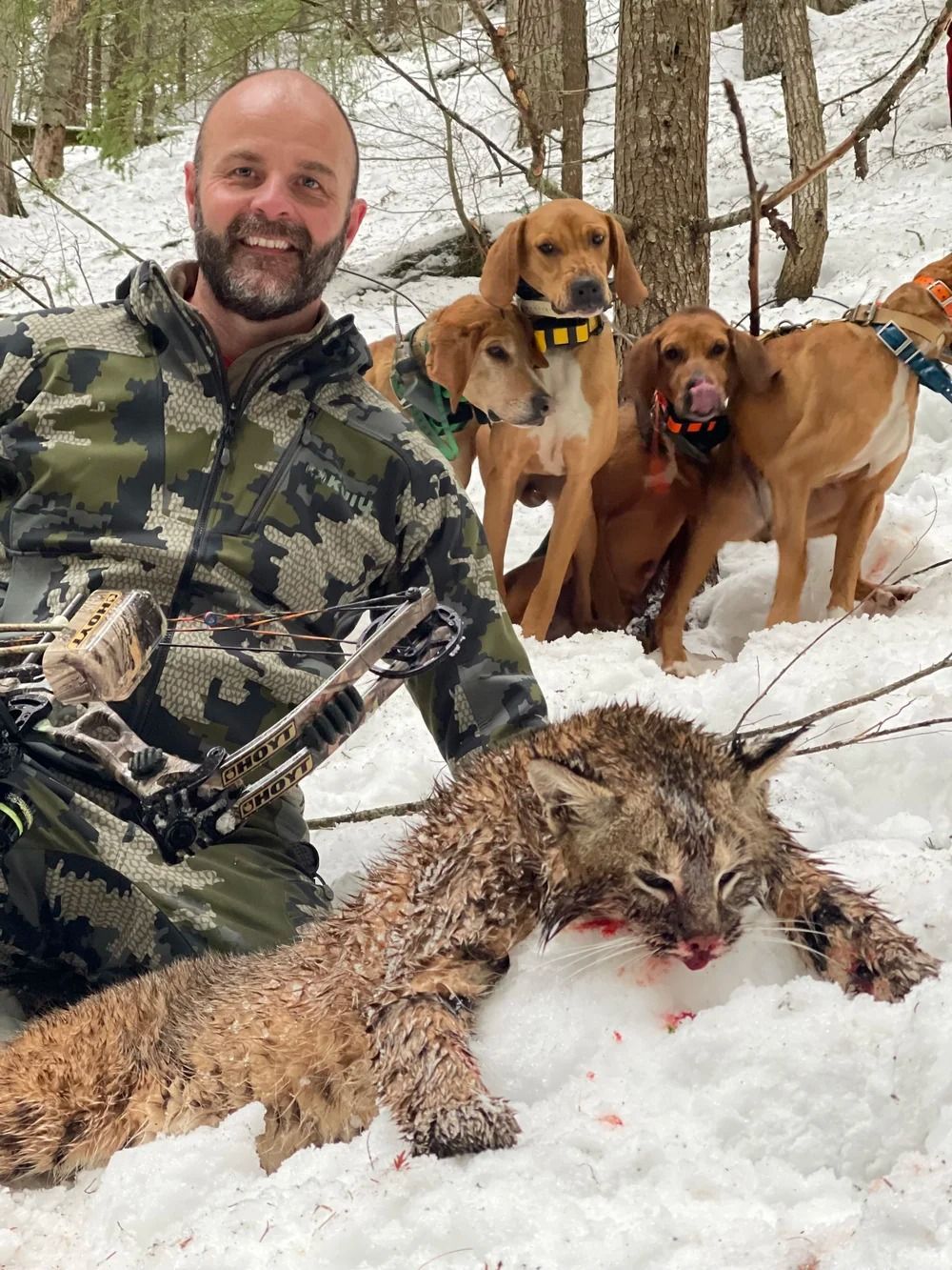 Idaho Whitetail Guides Bobcat Hunts