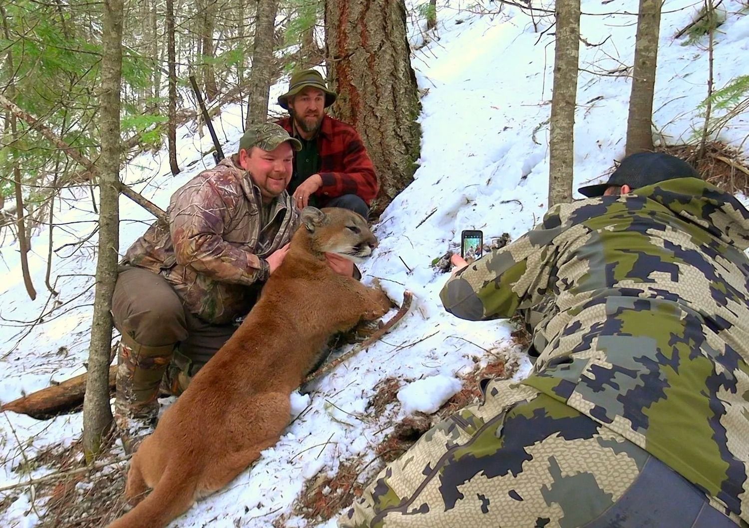 Idaho Whitetail Guides Cougar Hunts