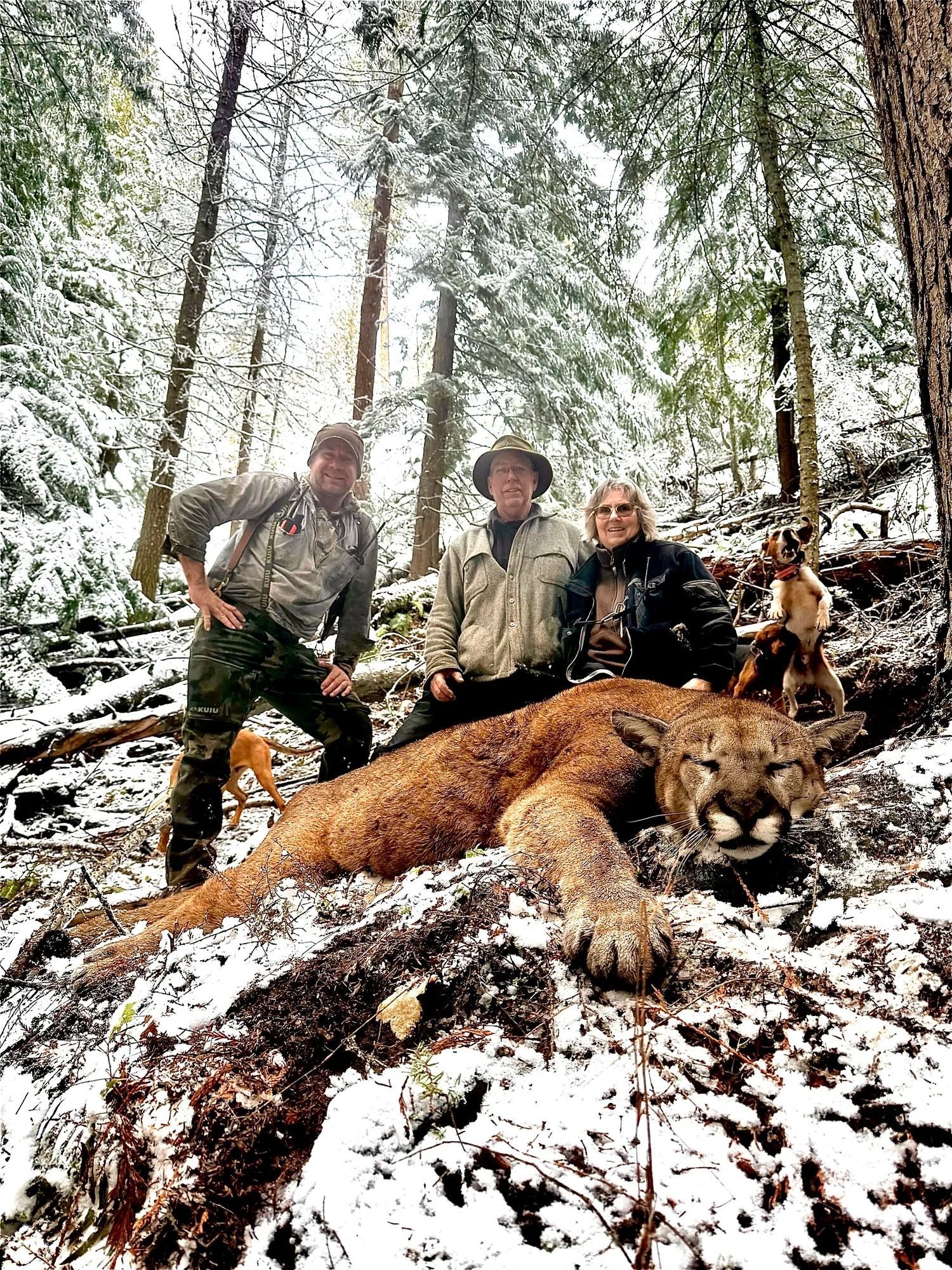 Idaho Whitetail Guides Cougar Hunts