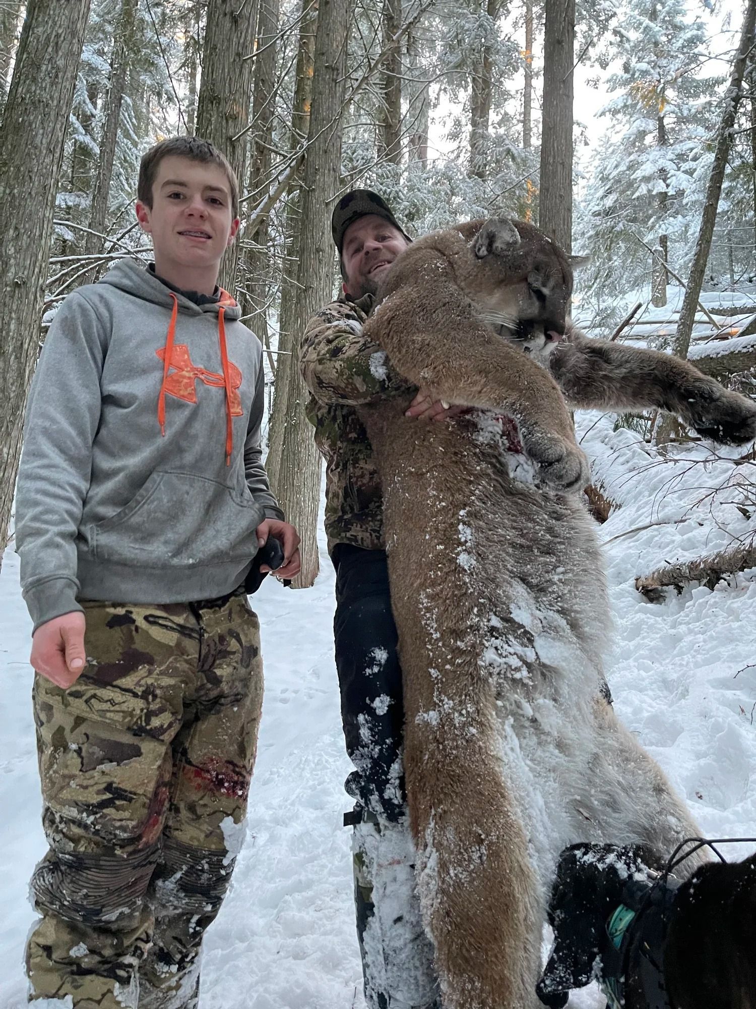 Idaho Whitetail Guides Cougar Hunts