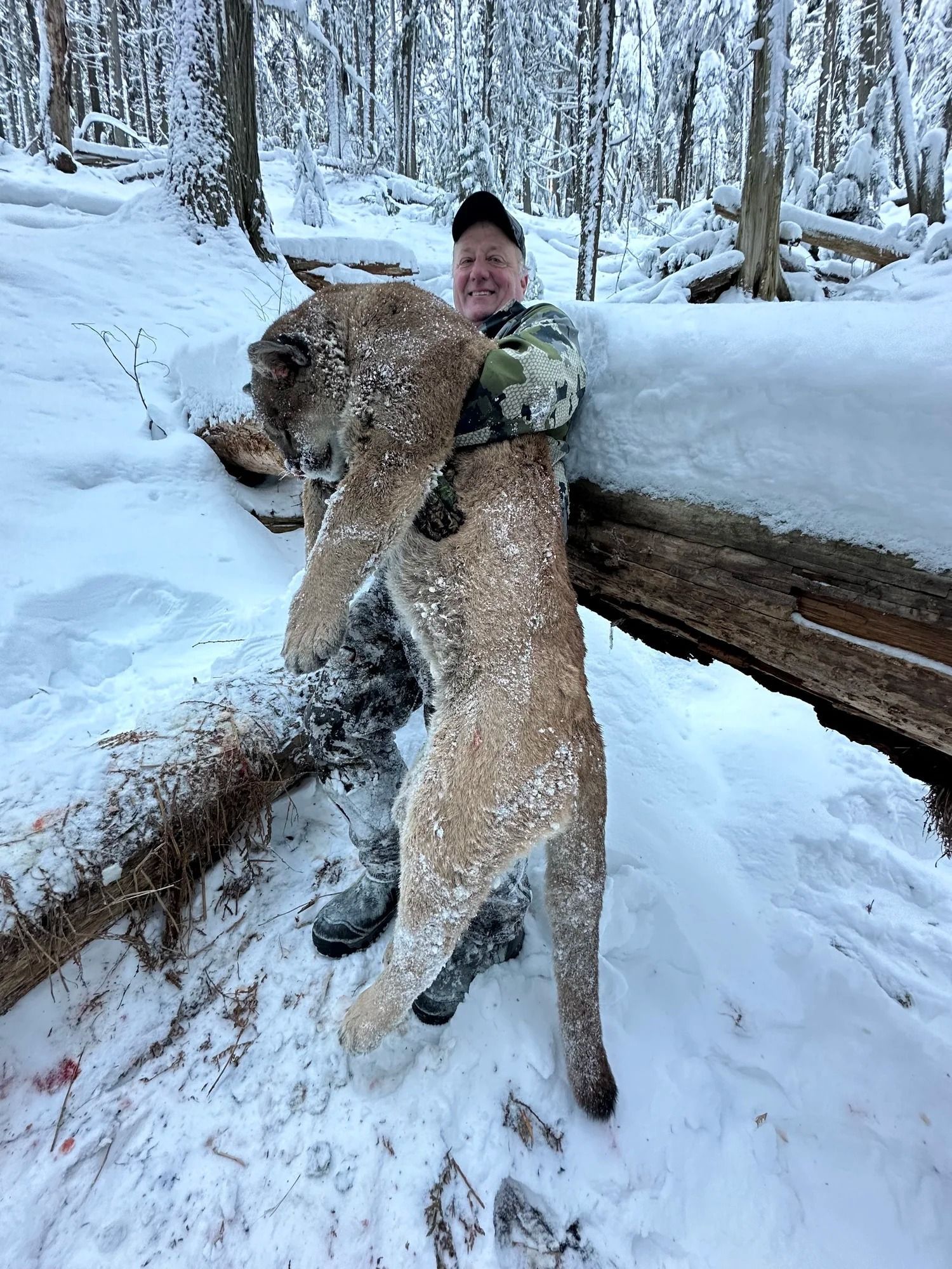 Idaho Whitetail Guides Cougar Hunts