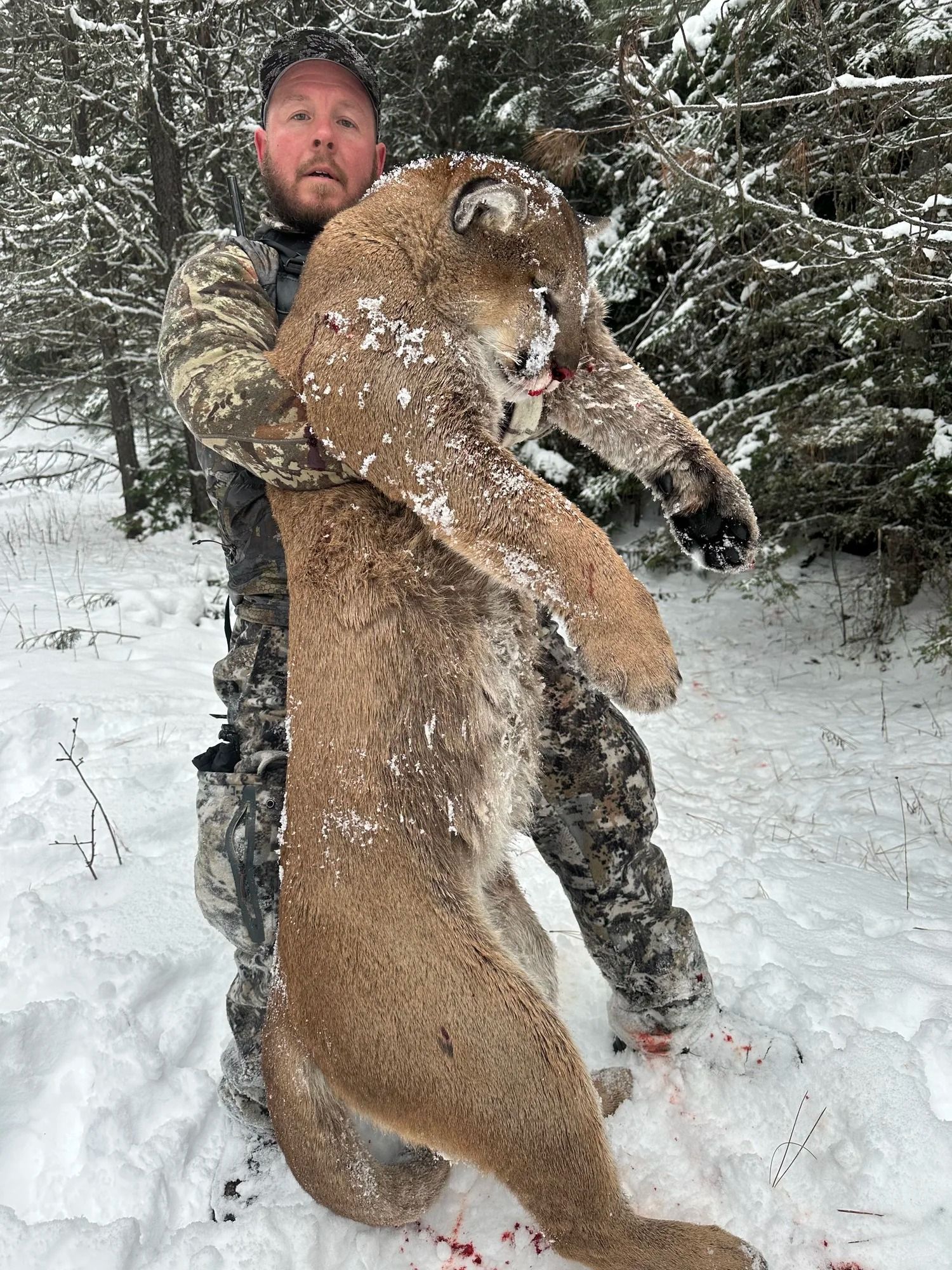 Idaho Whitetail Guides Cougar Hunts