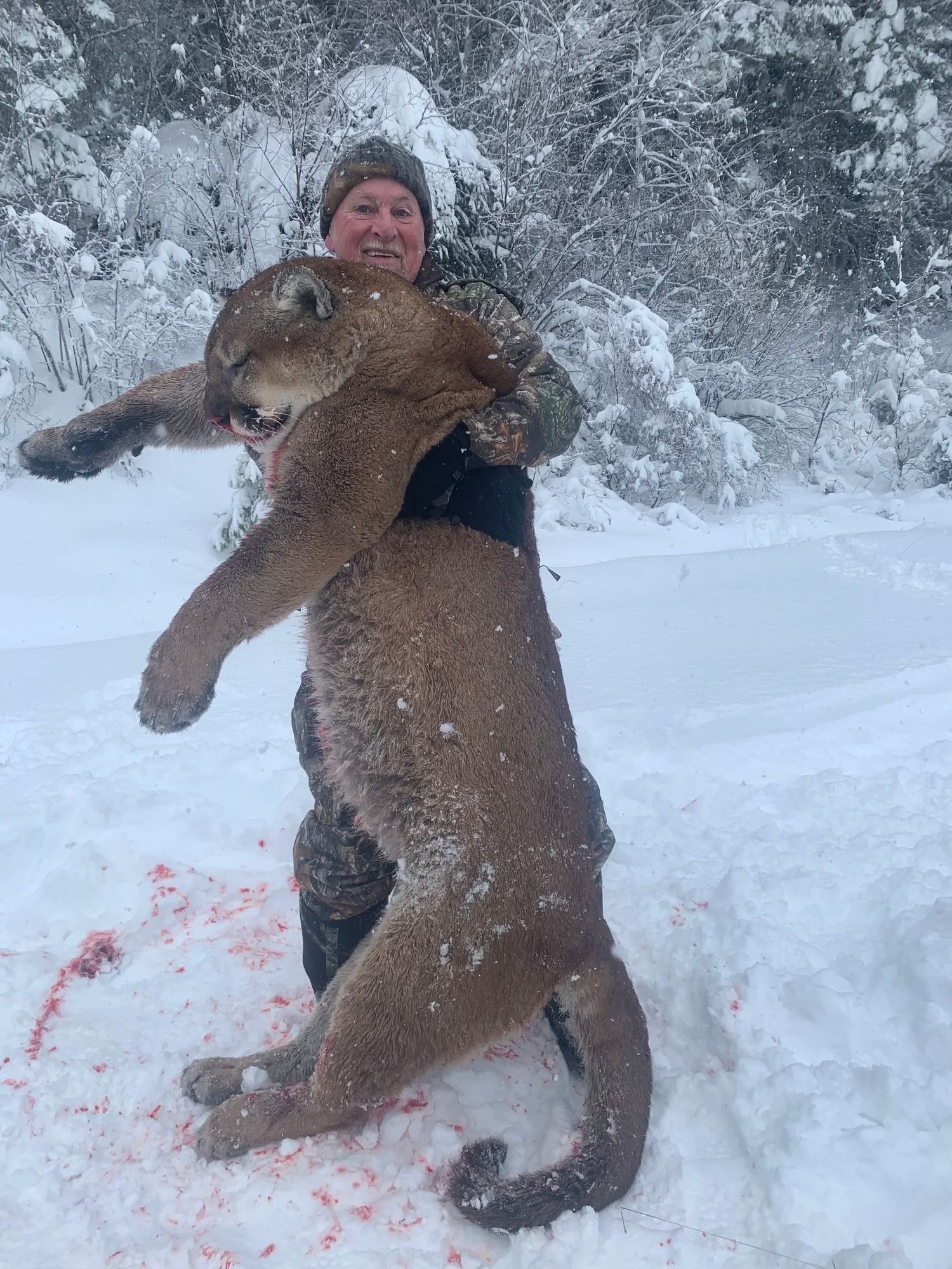 Idaho Whitetail Guides Cougar Hunts