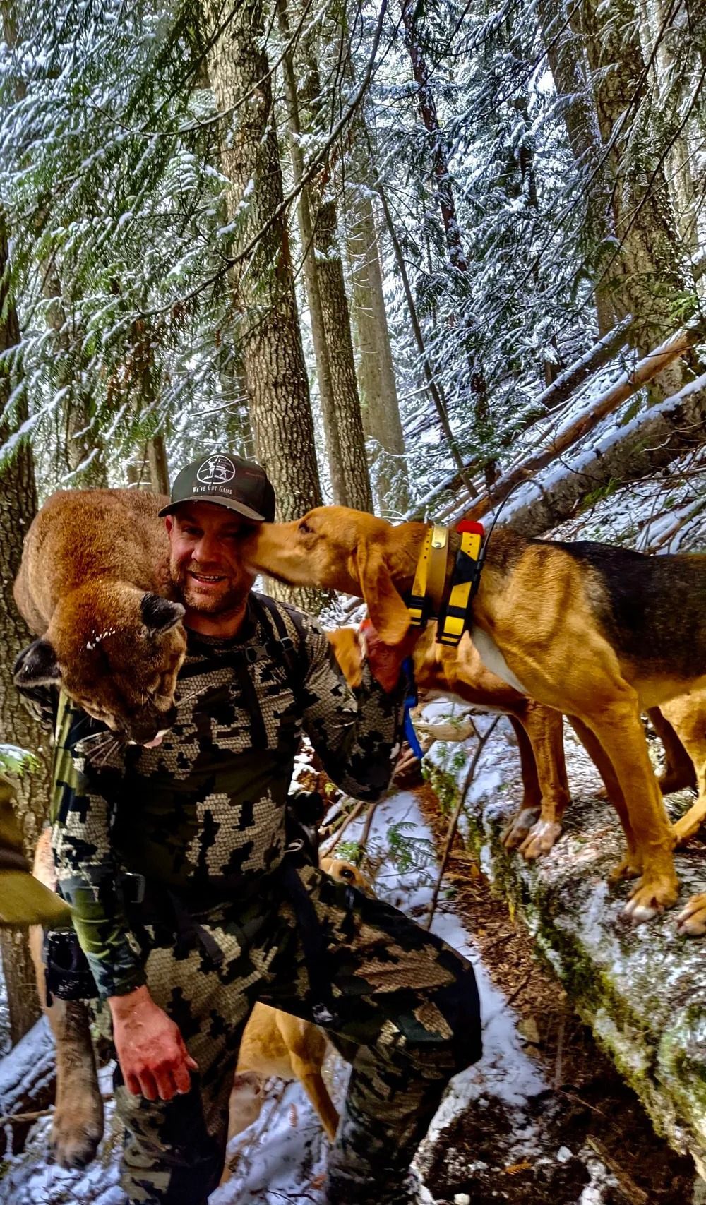 Idaho Whitetail Guides Cougar Hunts