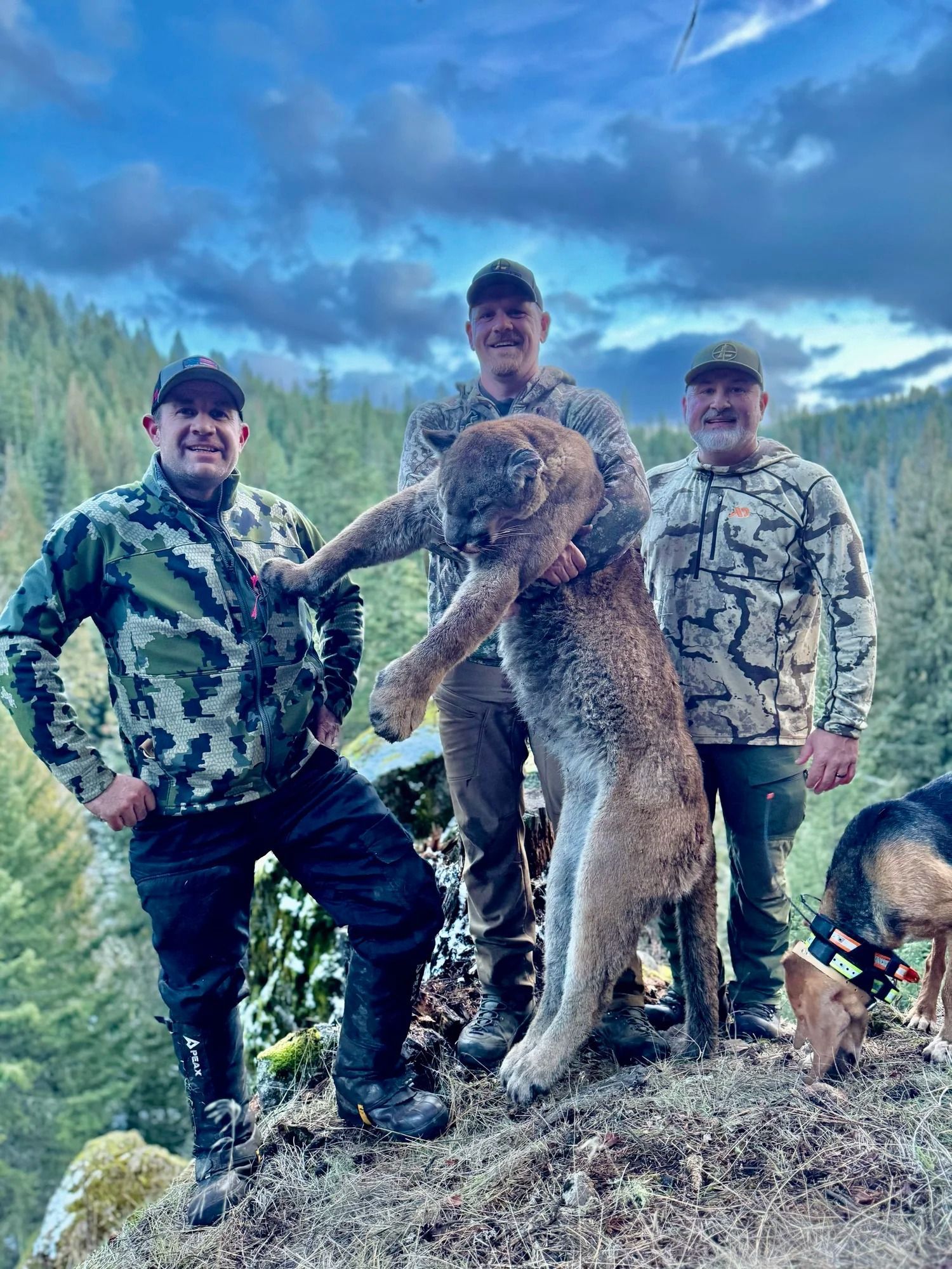 Idaho Whitetail Guides Cougar Hunts