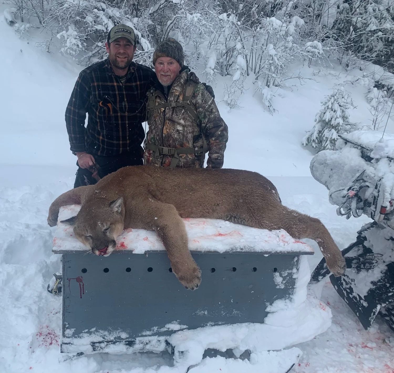 Idaho Whitetail Guides Cougar Hunts