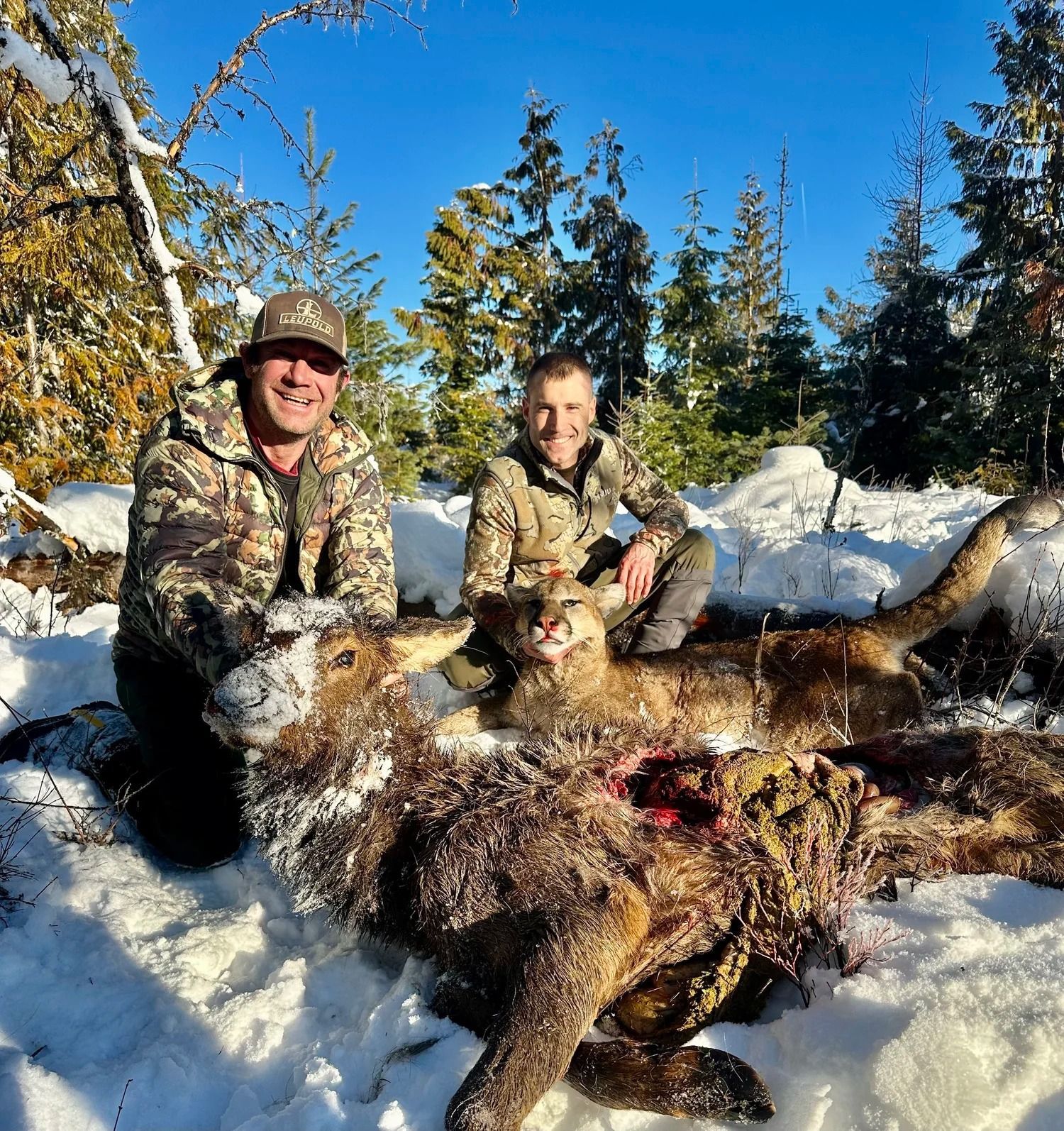 Idaho Whitetail Guides Cougar Hunts