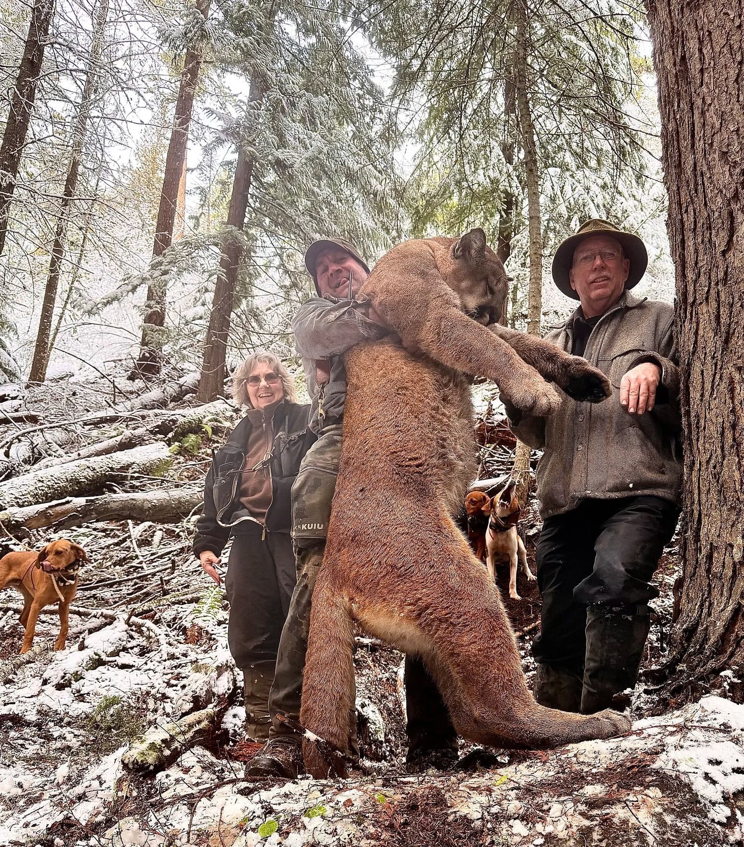 Idaho Whitetail Guides Cougar Hunts