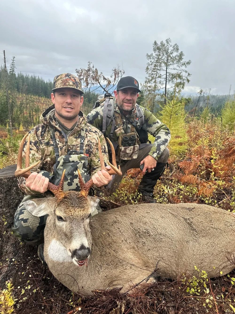 Idaho Whitetail Guides Deer Hunts