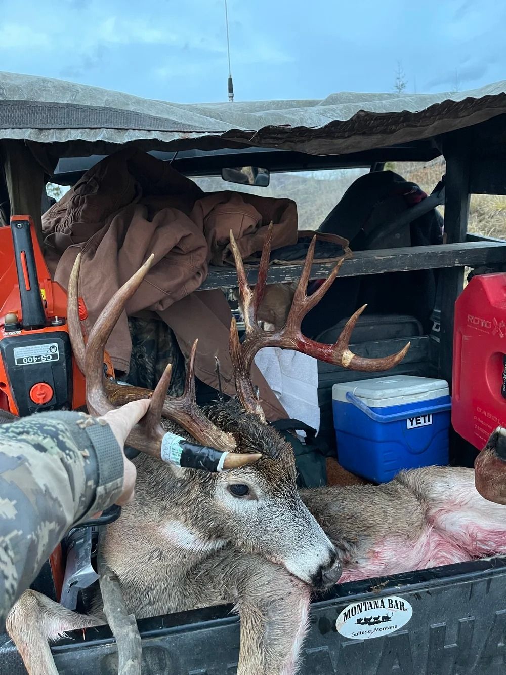 Idaho Whitetail Guides Deer Hunts