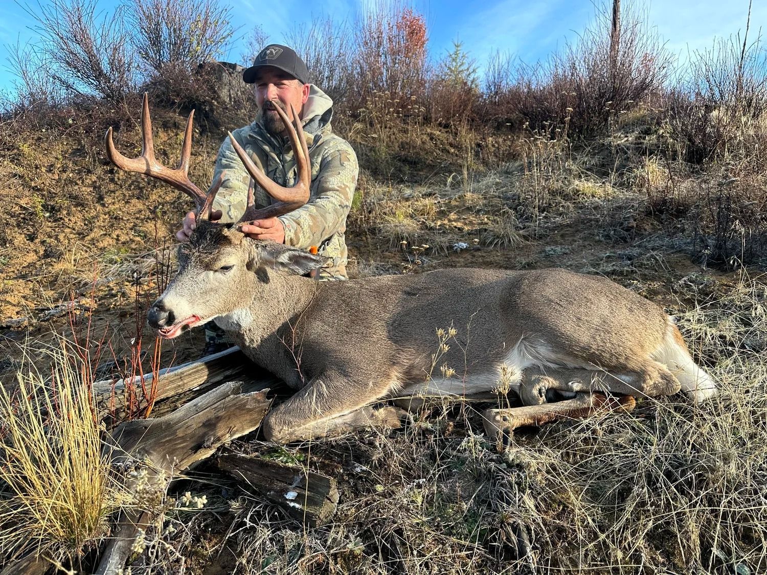 Deer