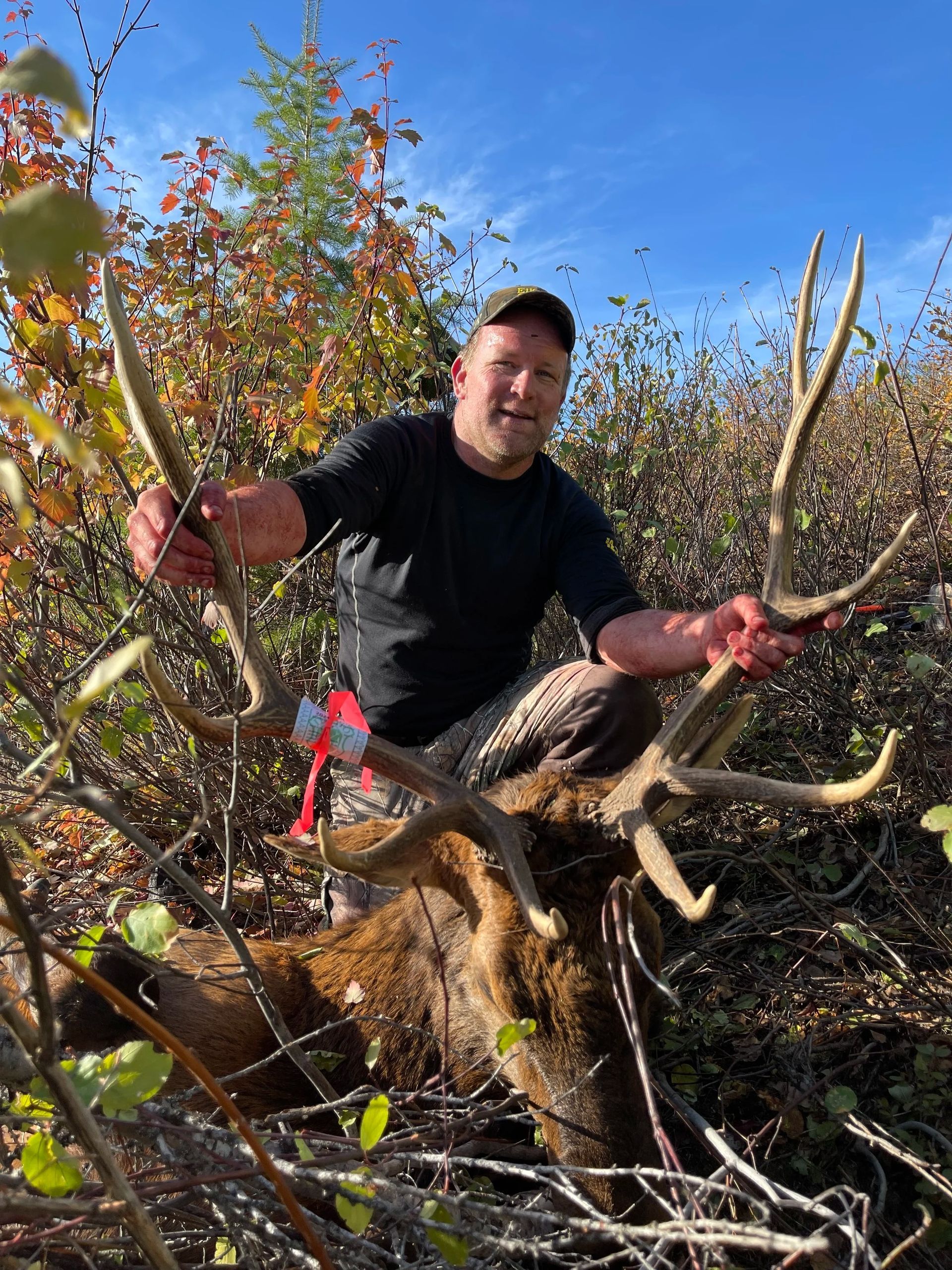 Idaho Whitetail Guides Elk Hunts