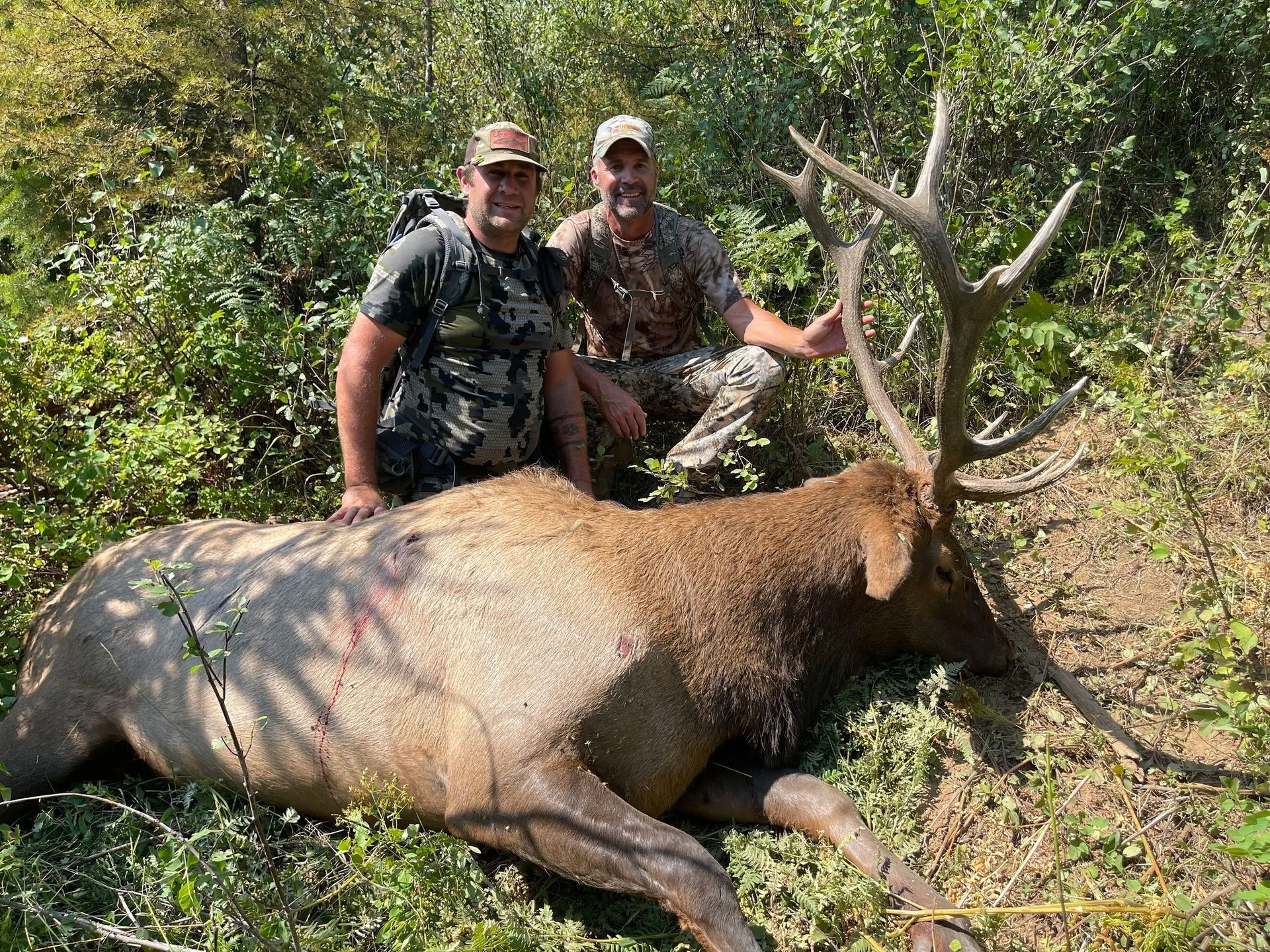 Idaho Whitetail Guides Elk Hunts