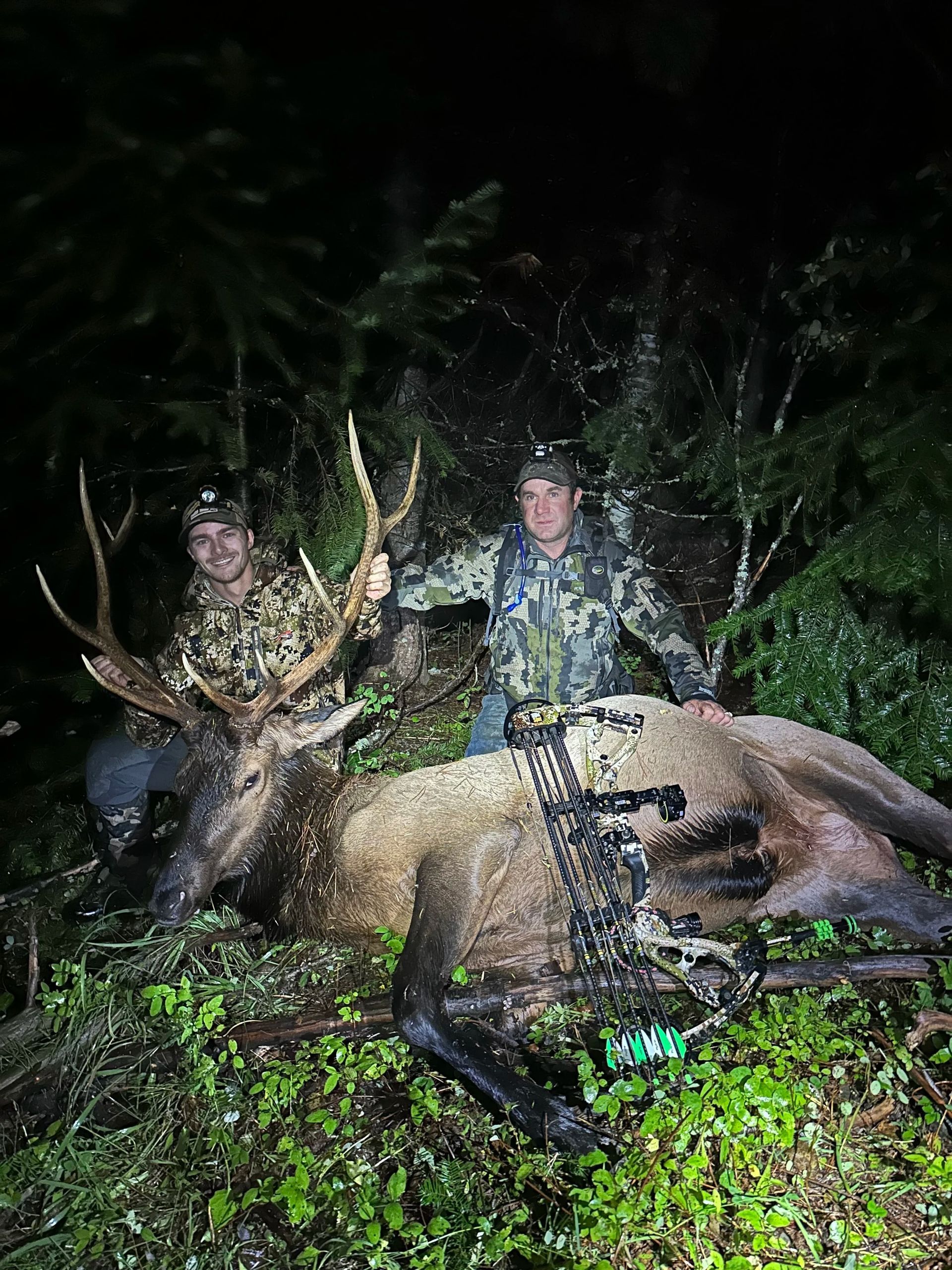 Idaho Whitetail Guides Elk Hunts