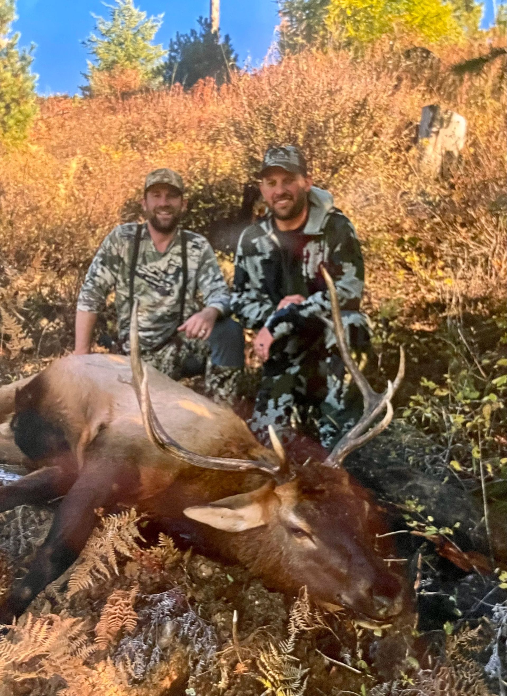 Idaho Whitetail Guides Elk Hunts