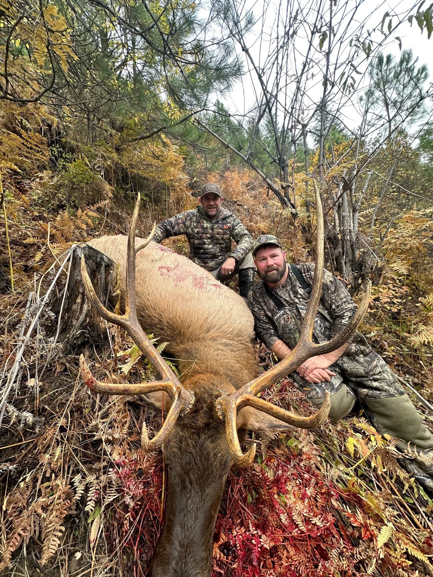 Idaho Whitetail Guides Elk Hunts