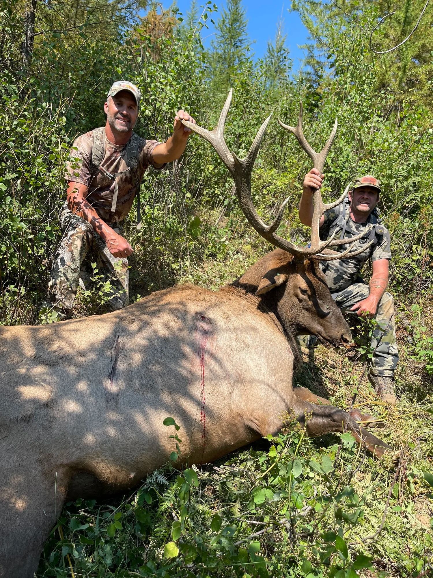 Idaho Whitetail Guides Elk Hunts