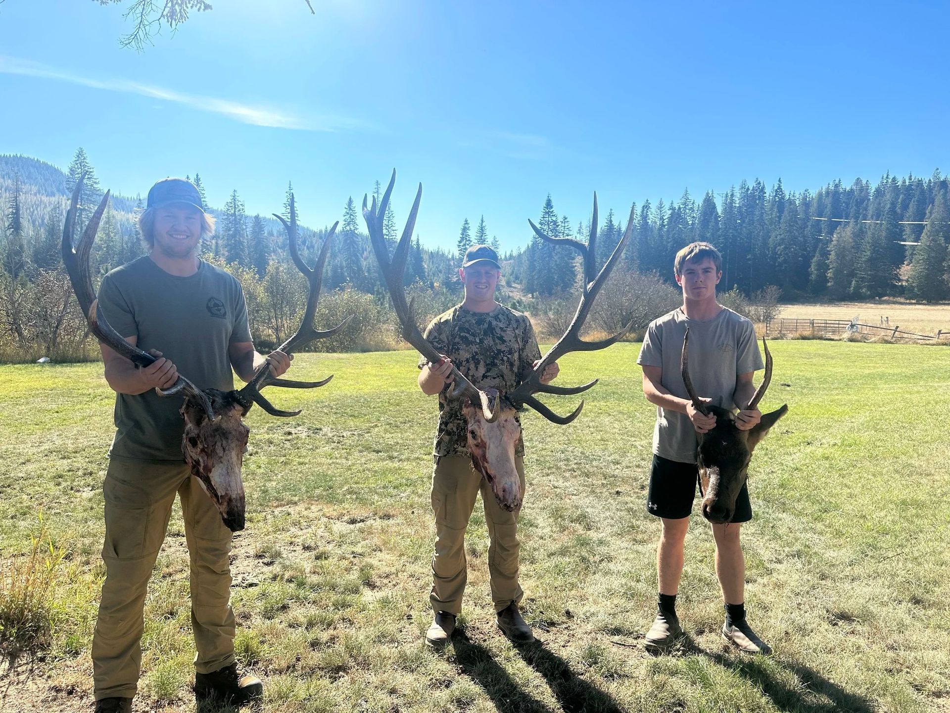 Idaho Whitetail Guides Elk Hunts