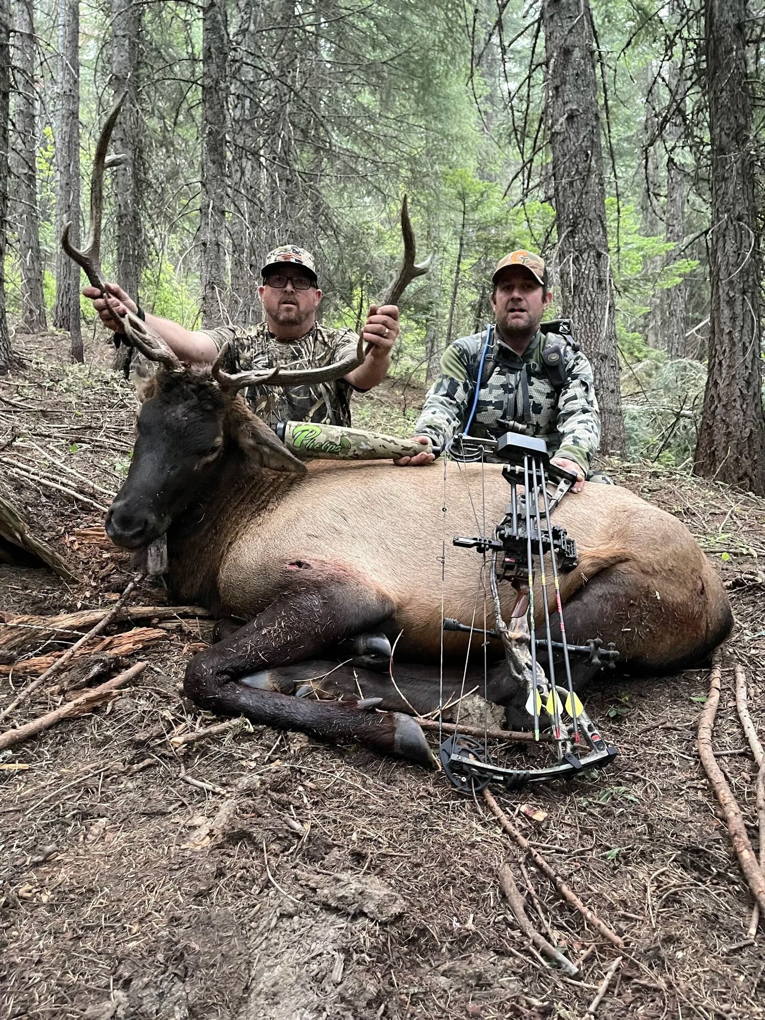 Elk