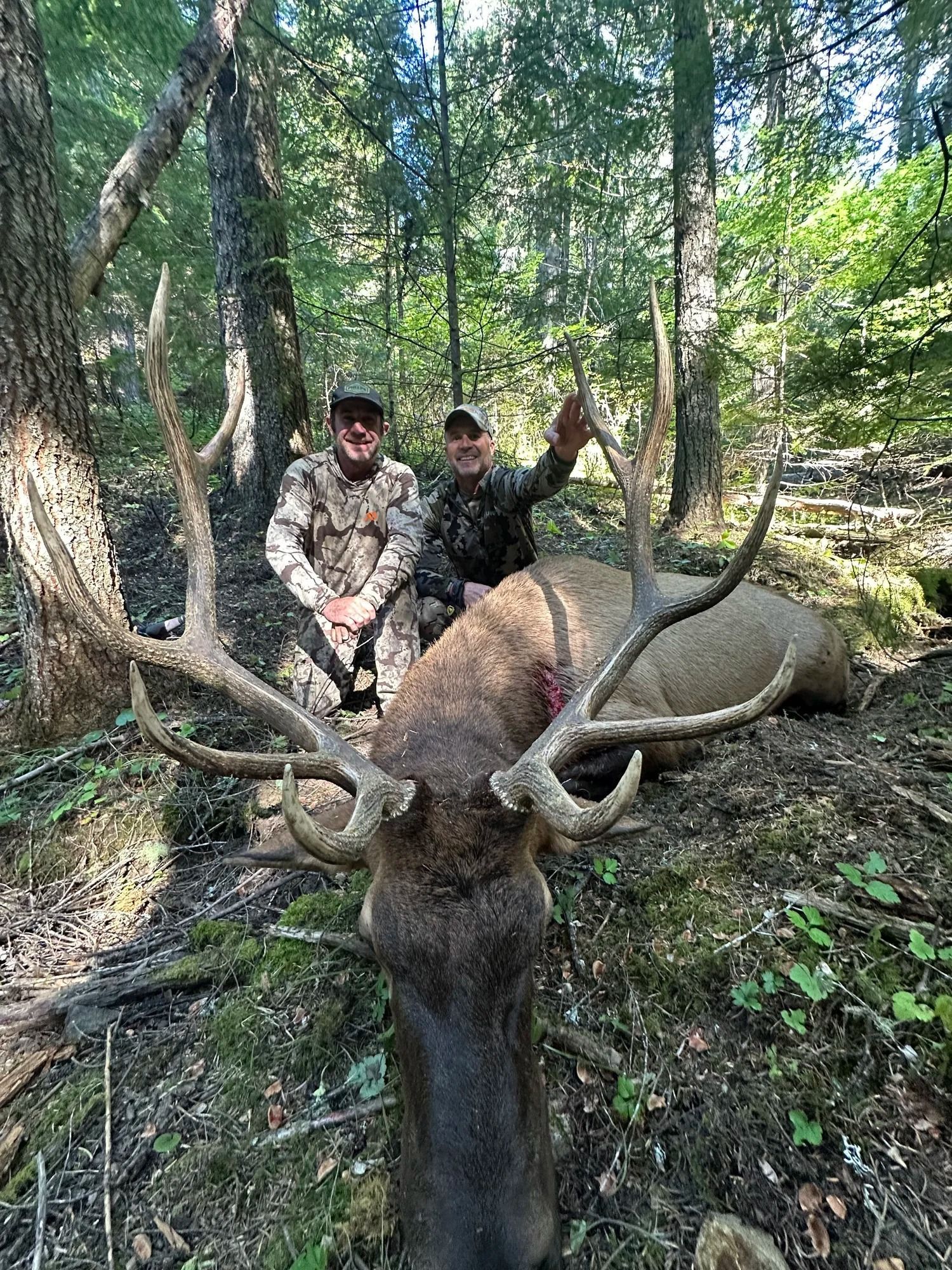 Idaho Whitetail Guides Elk Hunts