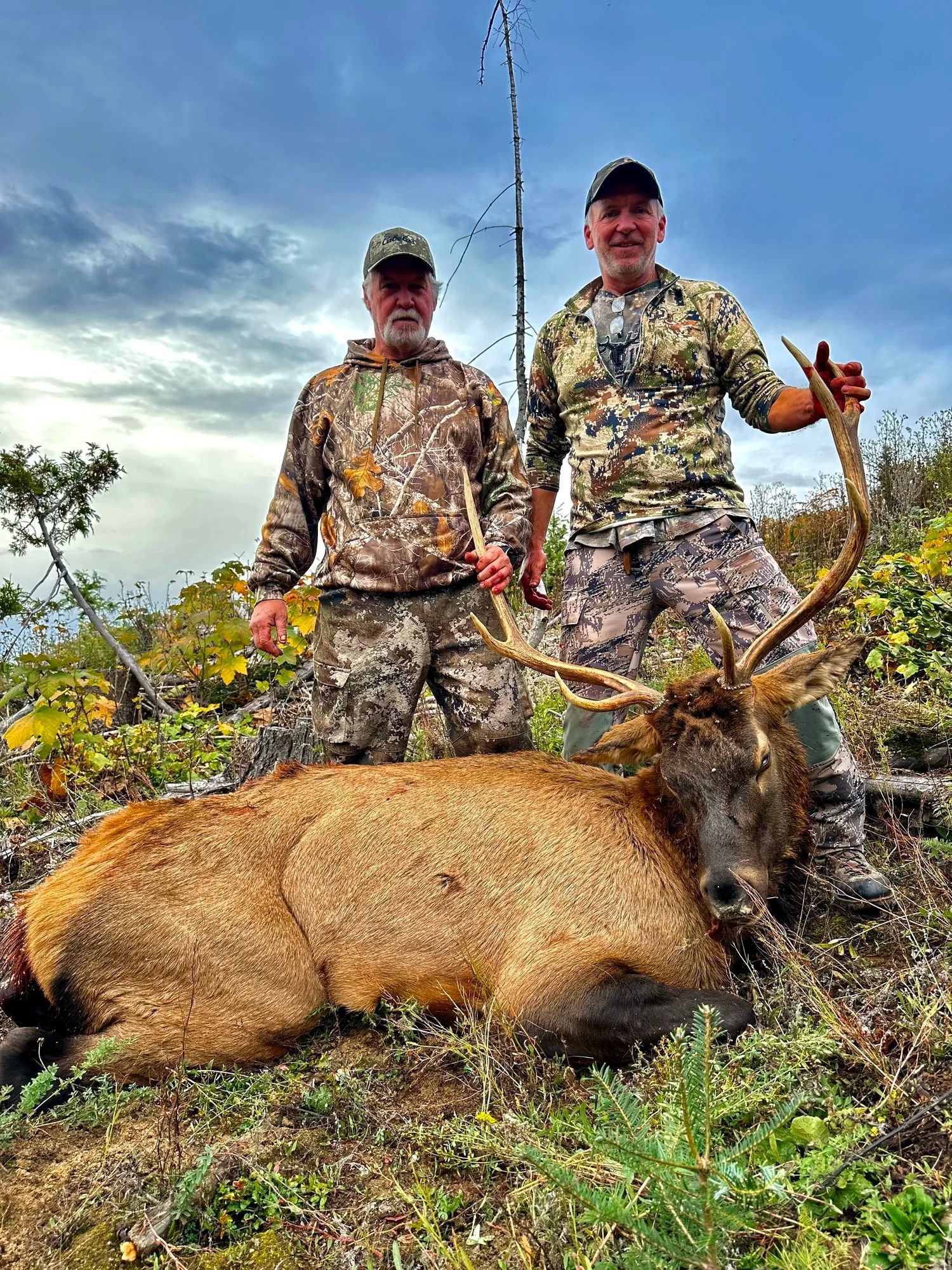 Idaho Whitetail Guides Elk Hunts