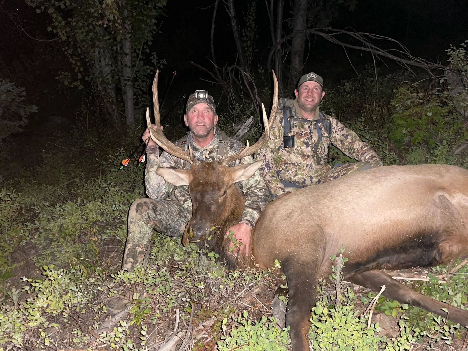 Idaho Whitetail Guides Elk Hunts