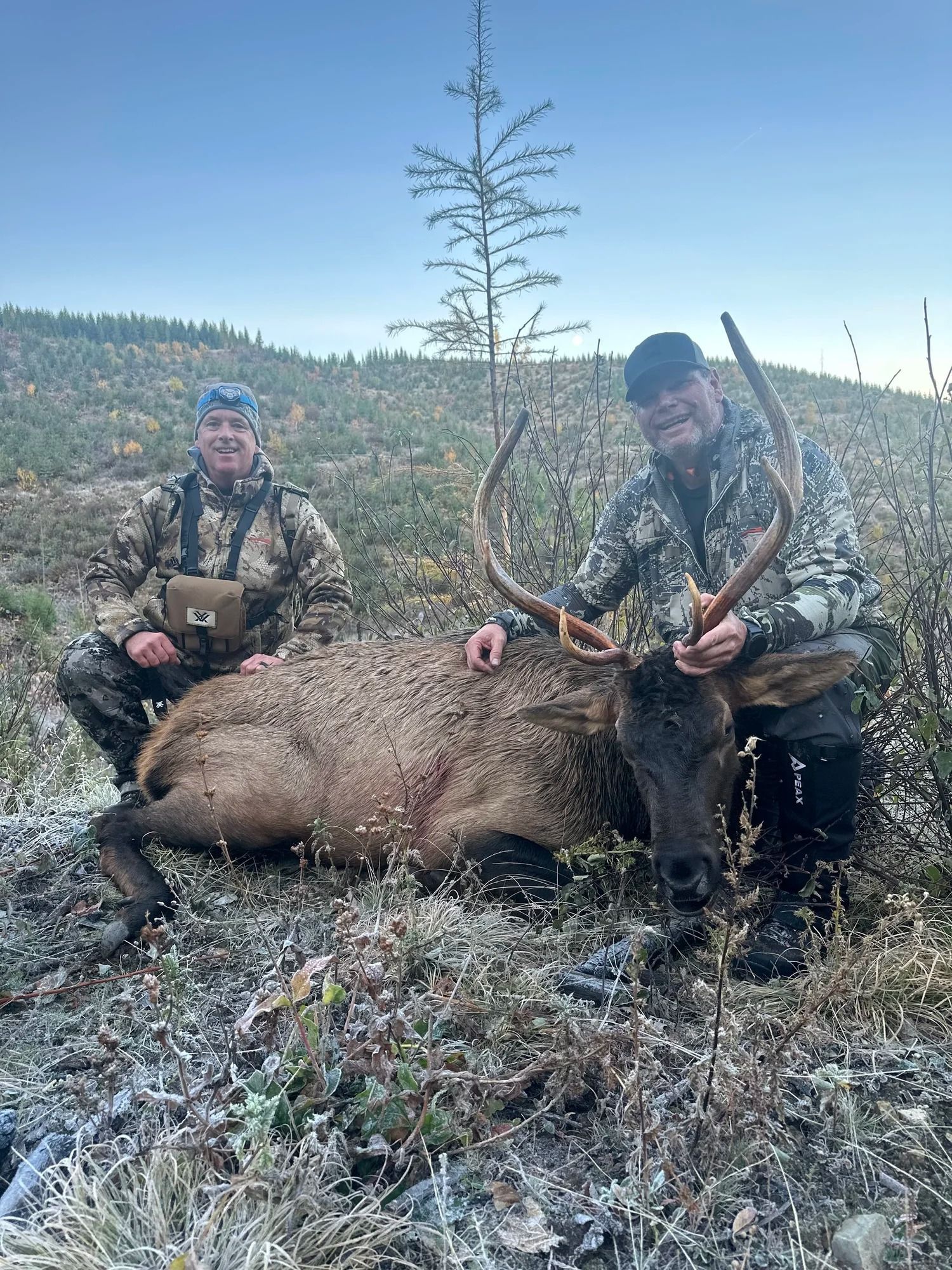 Idaho Whitetail Guides Elk Hunts