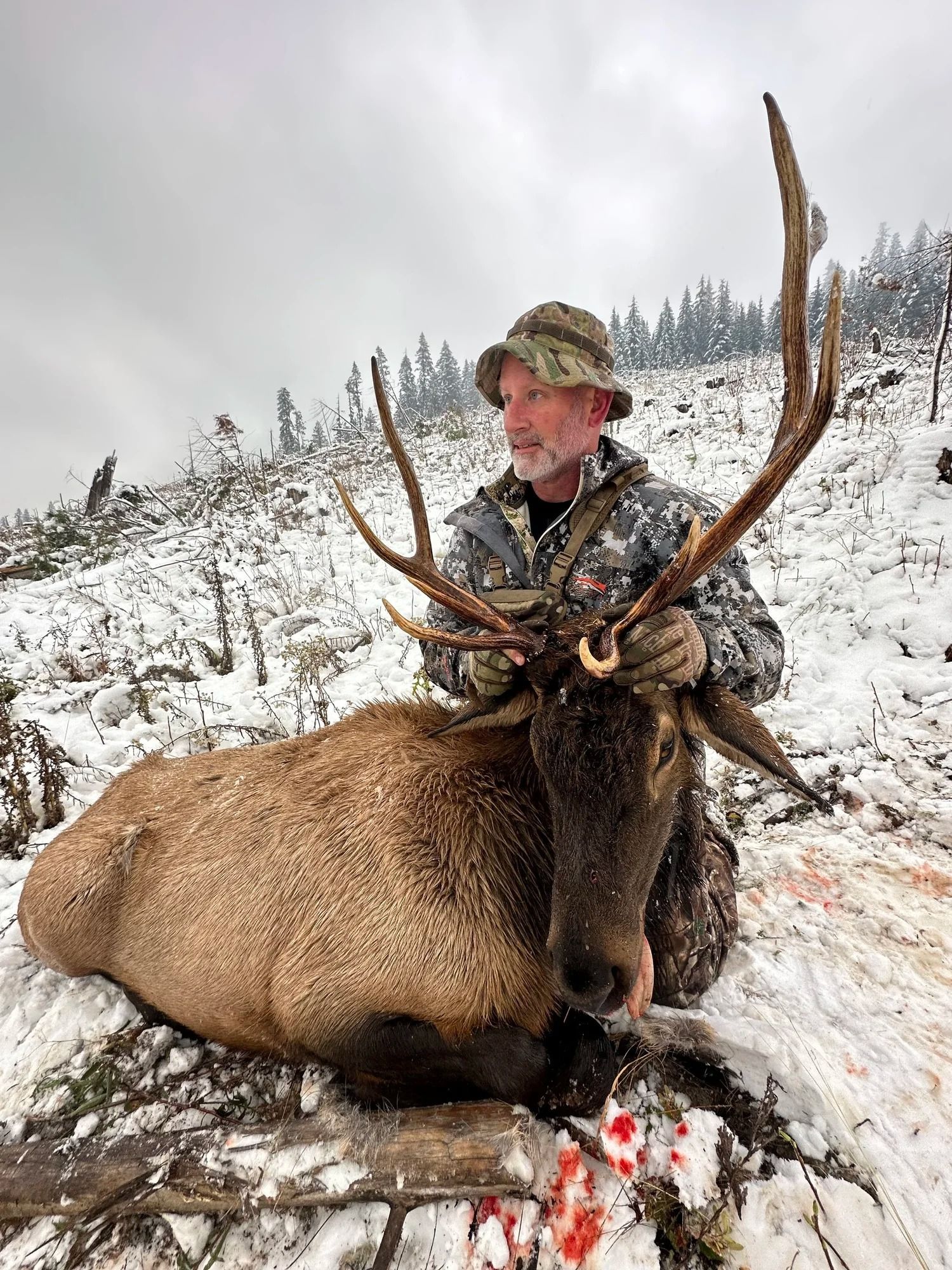 Idaho Whitetail Guides Elk Hunts
