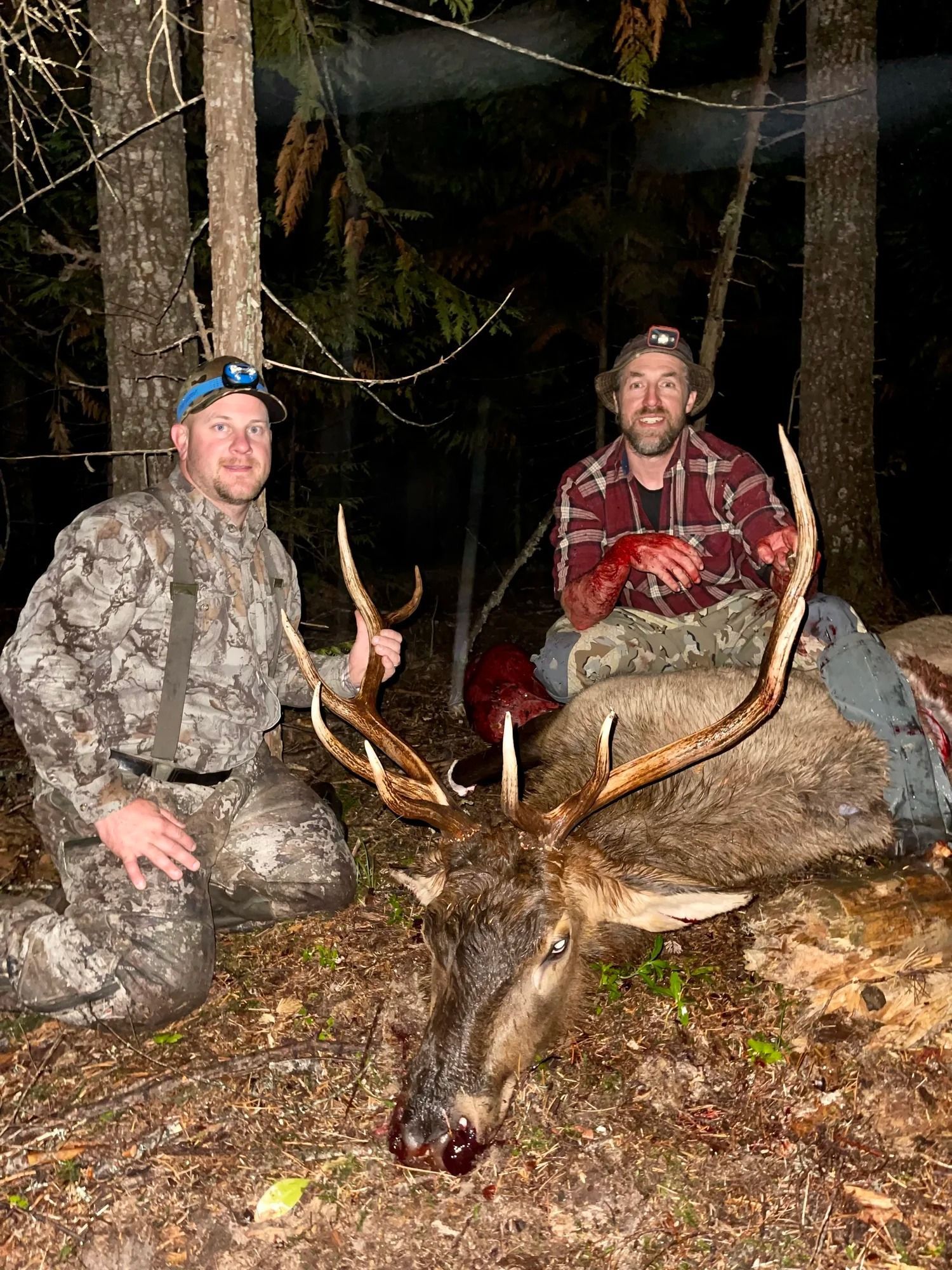 Idaho Whitetail Guides Elk Hunts