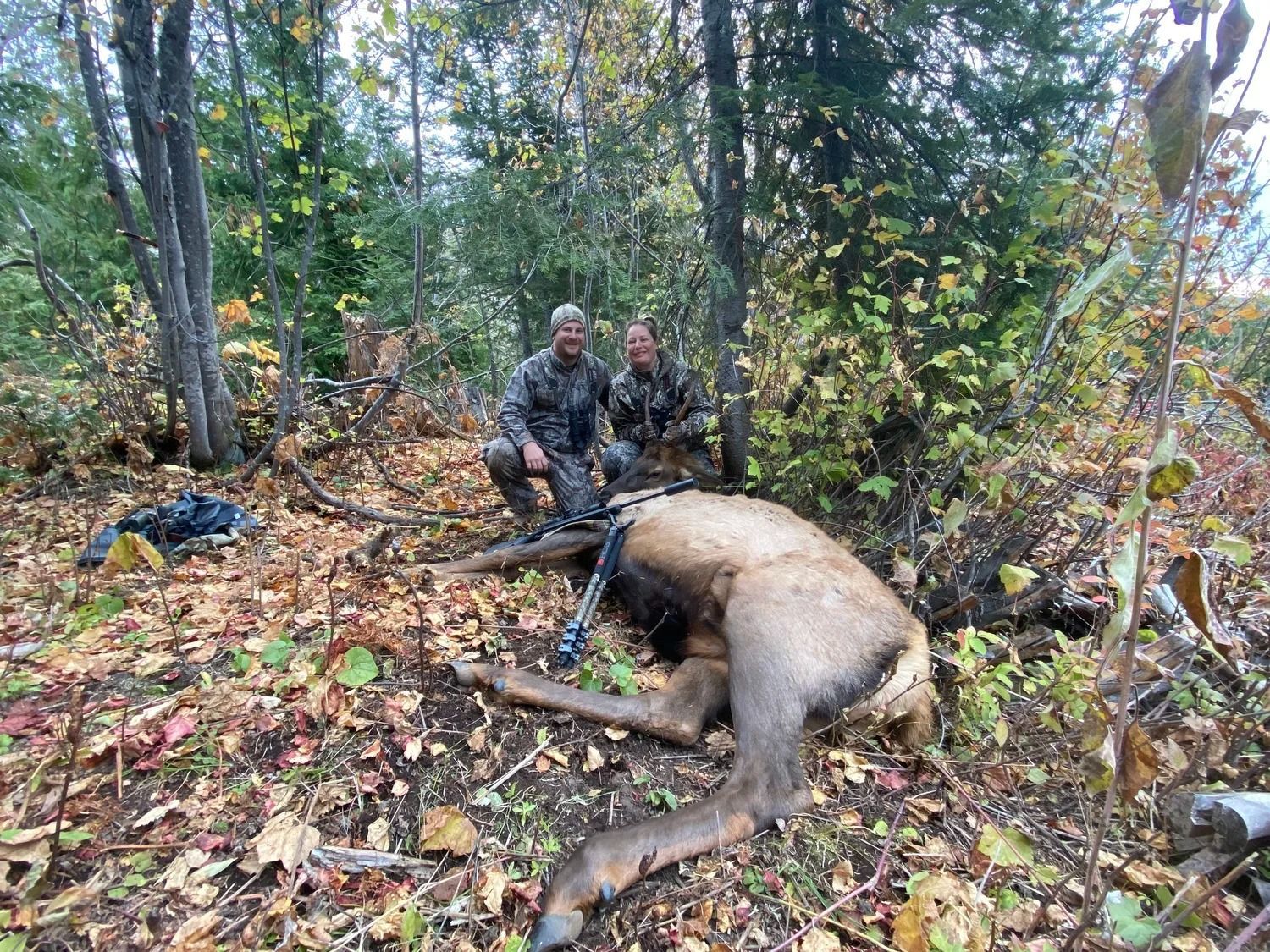 Idaho Whitetail Guides Elk Hunts
