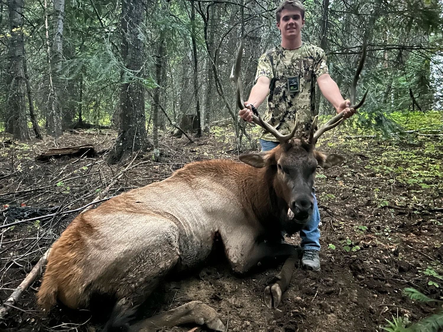 Idaho Whitetail Guides Elk Hunts