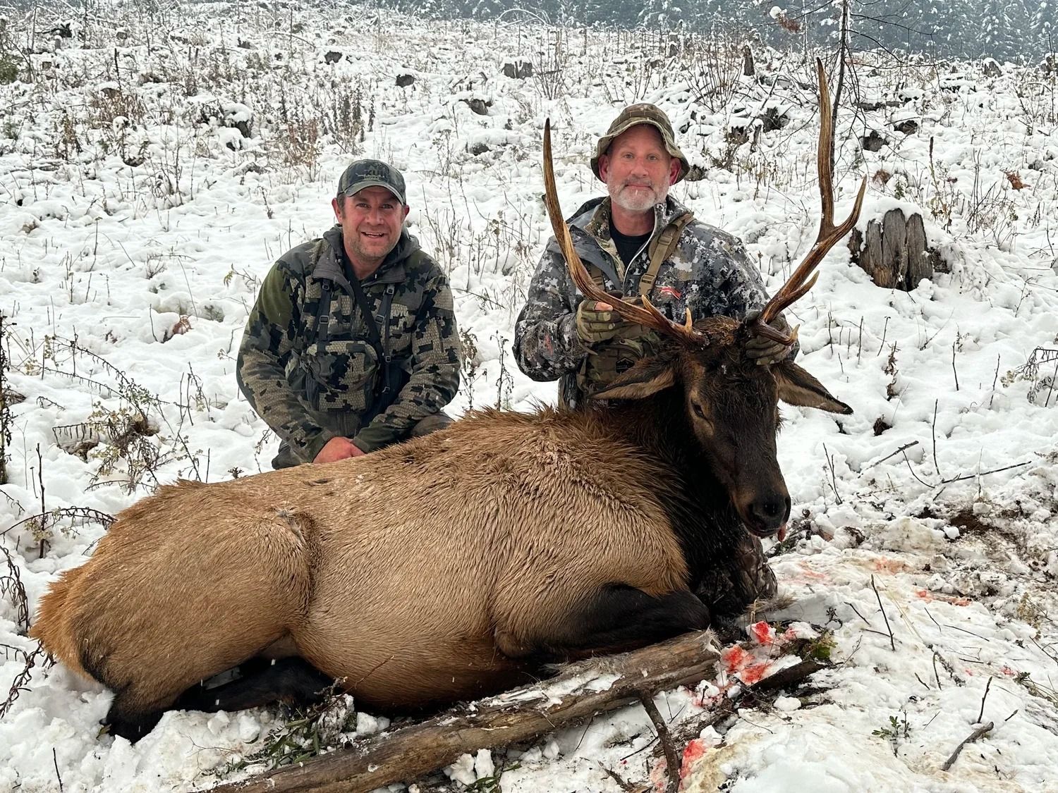 Idaho Whitetail Guides Elk Hunts