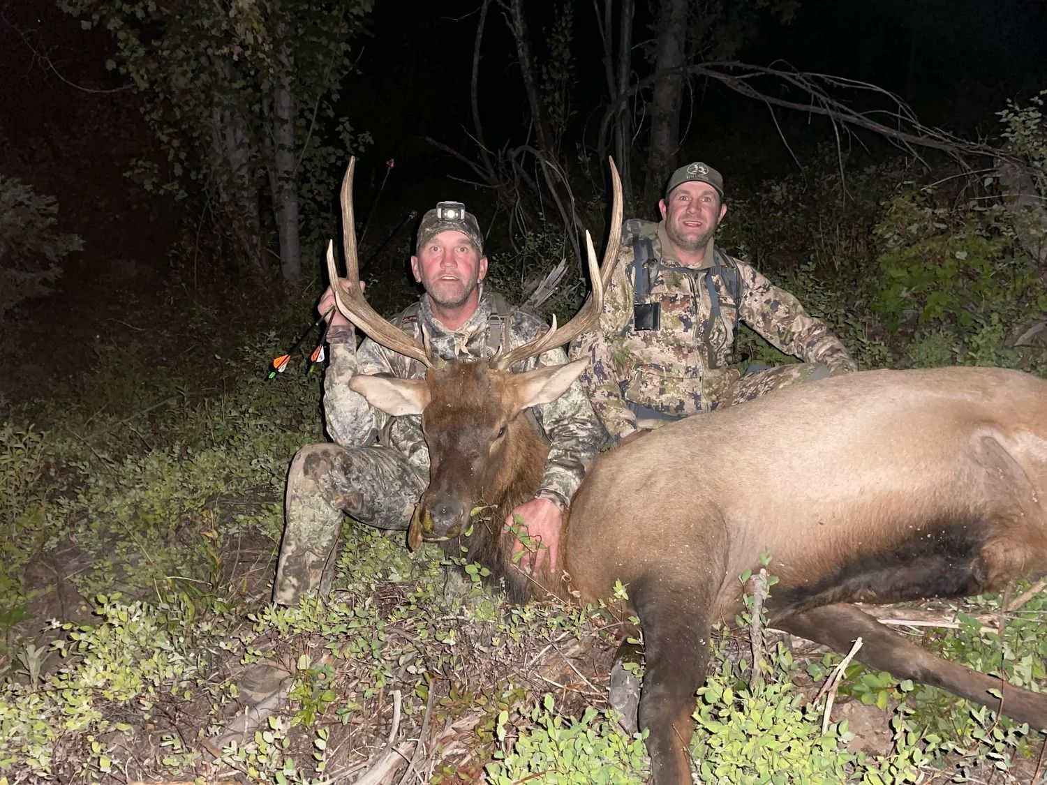 Idaho Whitetail Guides Elk Hunts