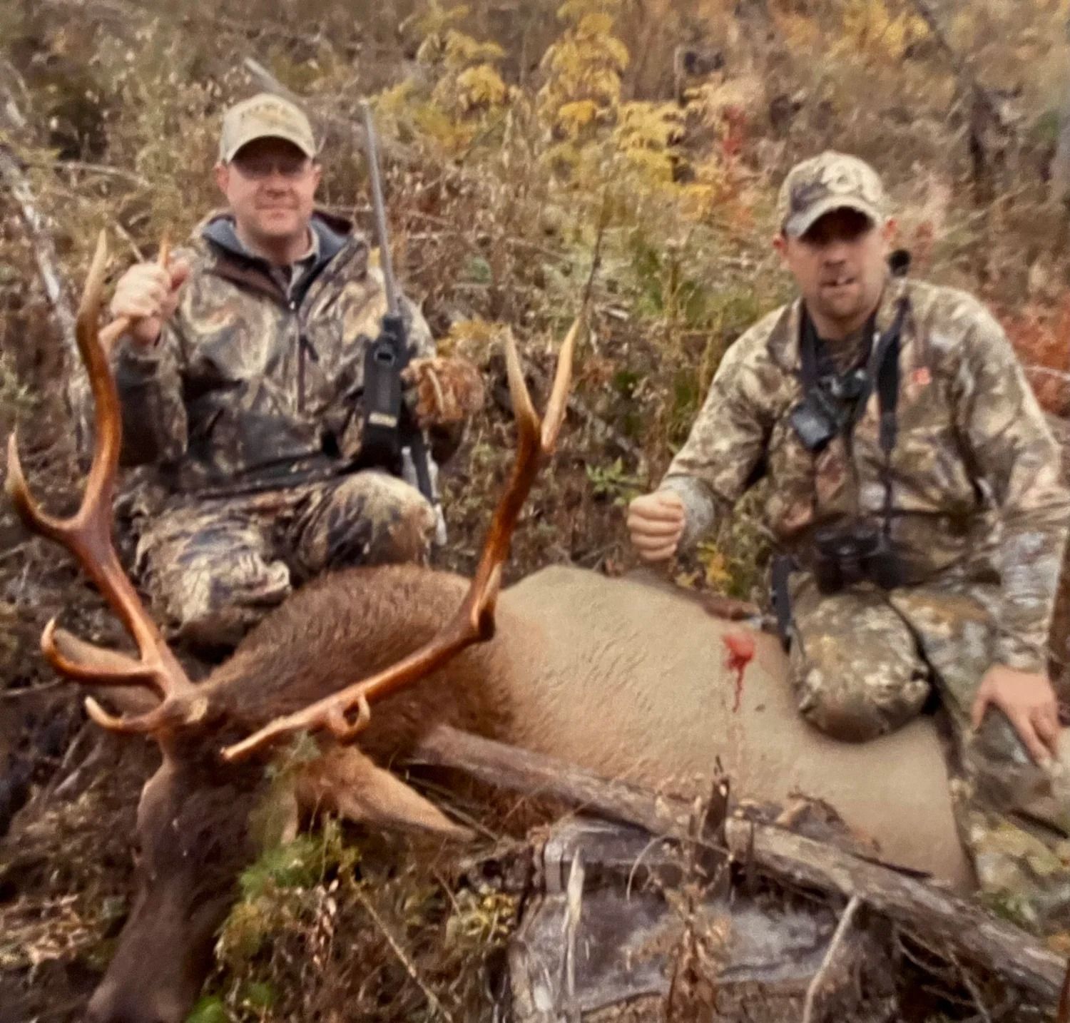 Idaho Whitetail Guides Elk Hunts